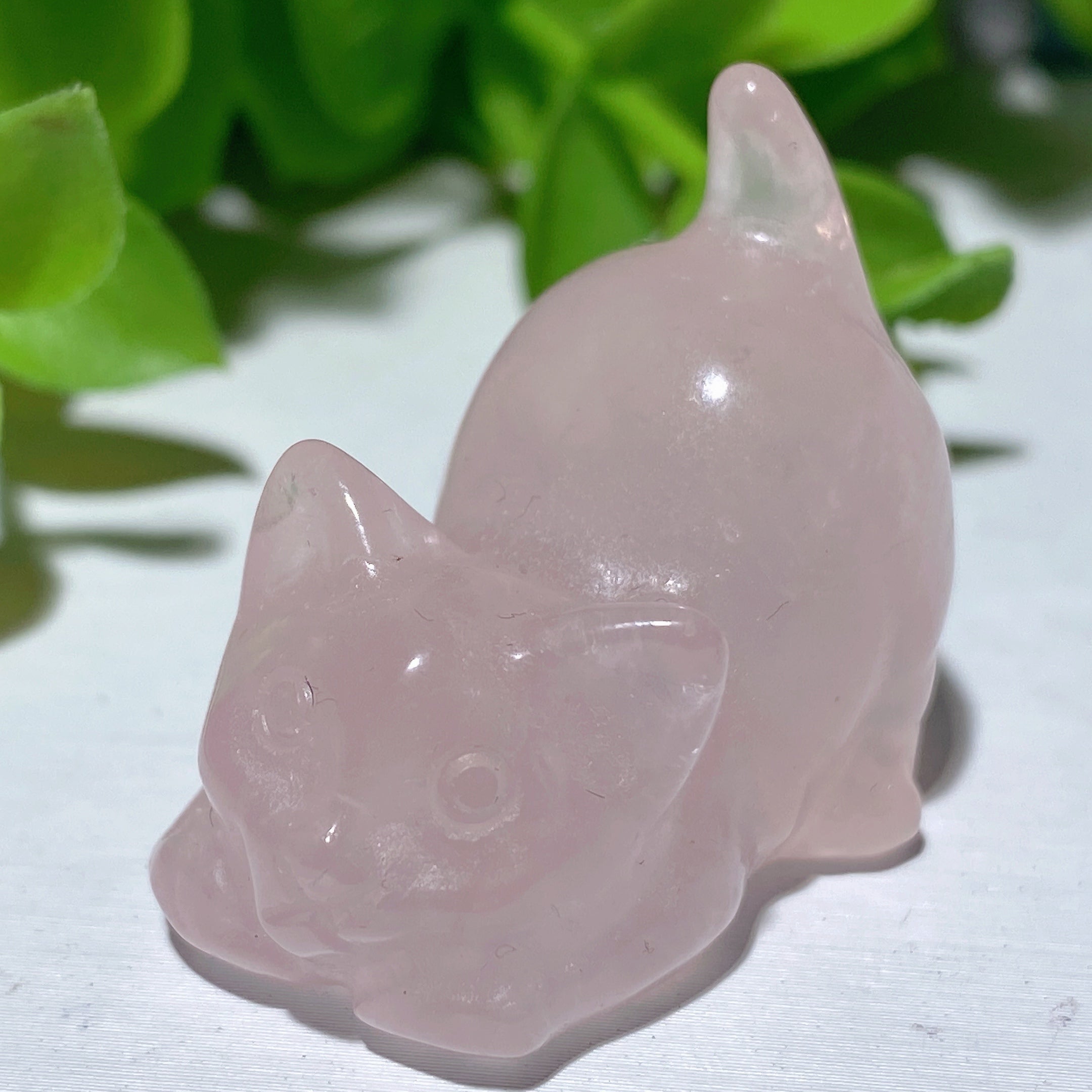 1.2 inch Mixed Crystal Cat Carvings - Healing Gemstone Figurines