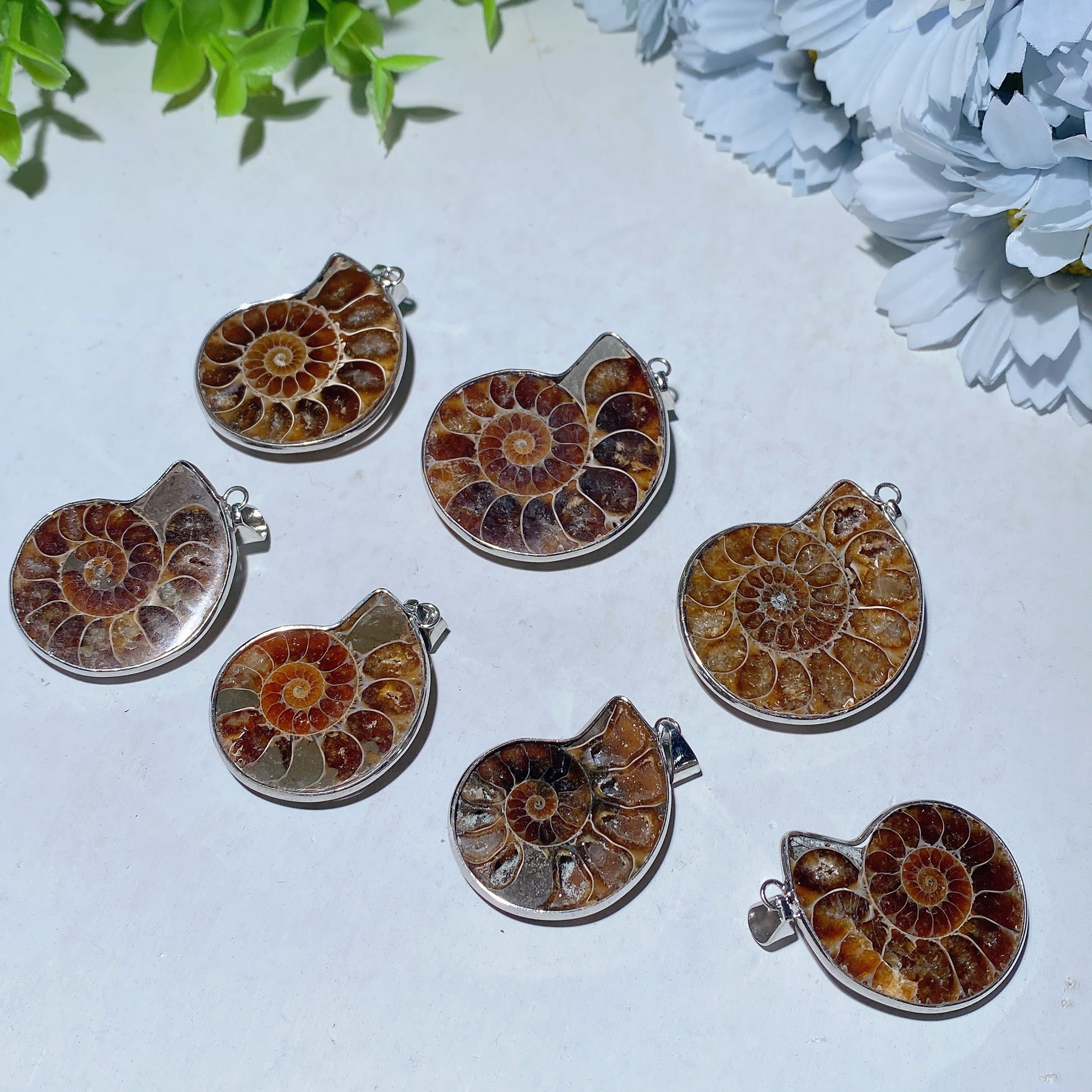 1.3-1.6 inch Ammonite Spiral Pendant for Spiritual Protection