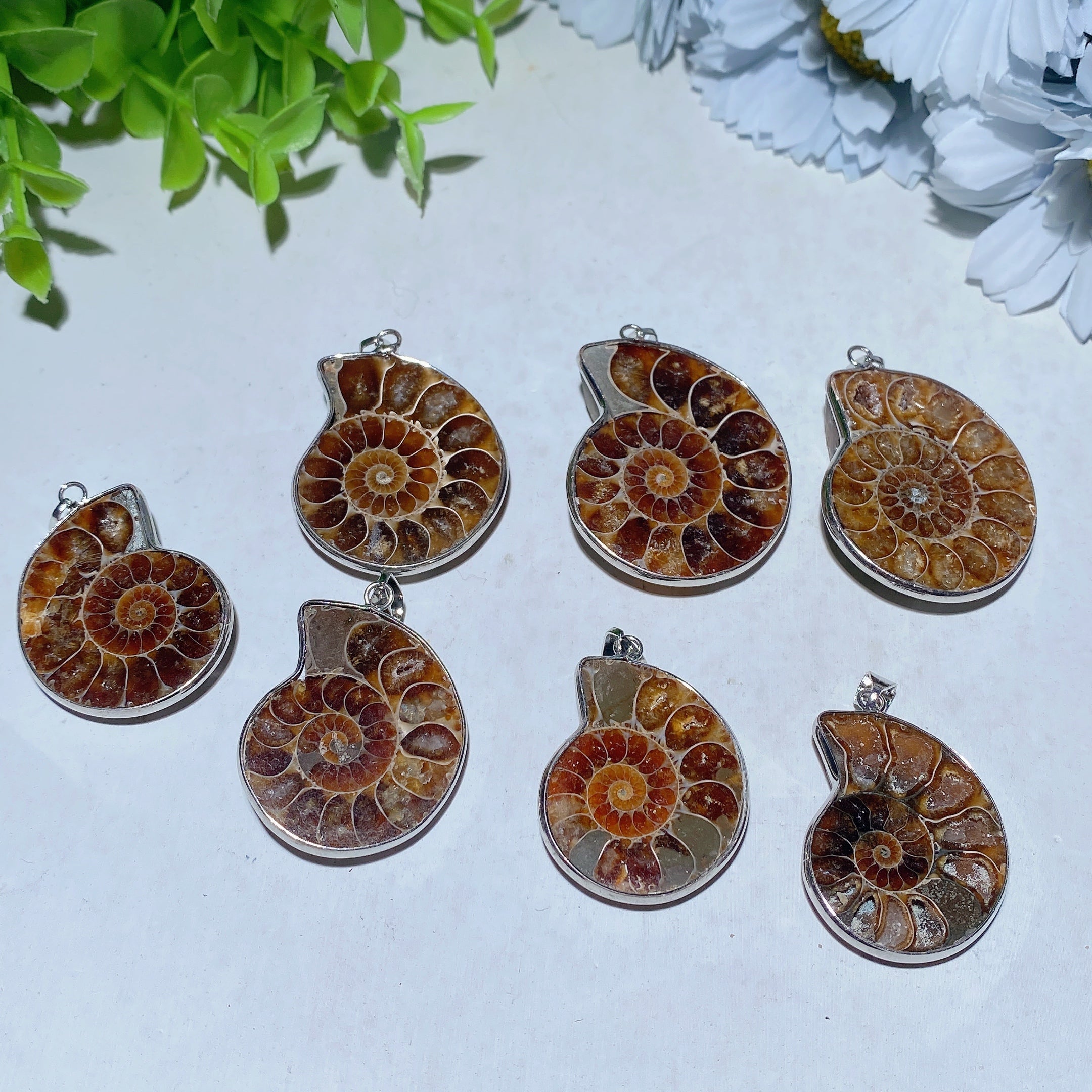 1.3-1.6 inch Ammonite Spiral Pendant for Spiritual Protection