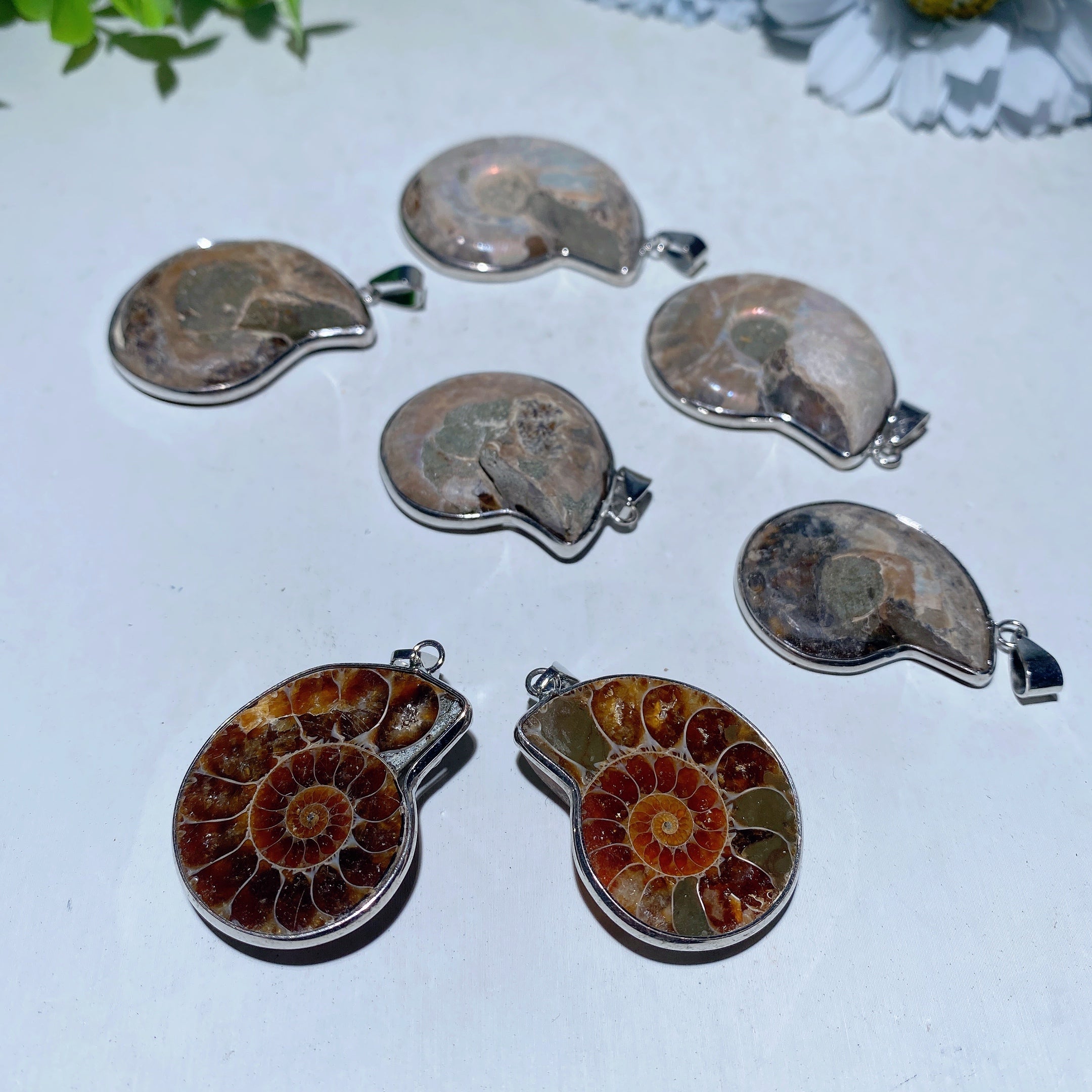 1.3-1.6 inch Ammonite Spiral Pendant for Spiritual Protection