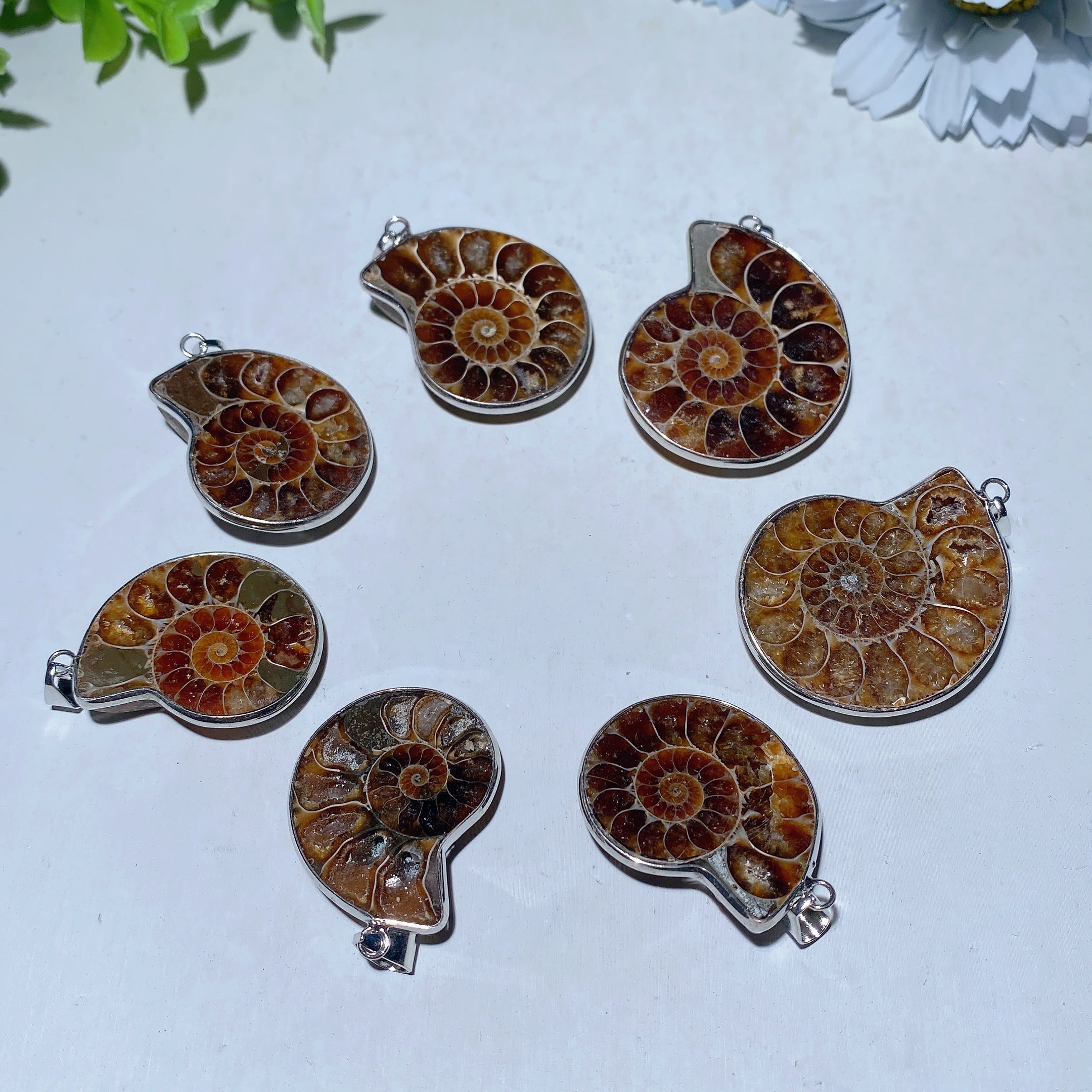 1.3-1.6 inch Ammonite Spiral Pendant for Spiritual Protection
