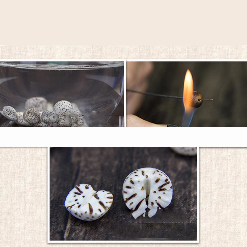 Bracelet Mala Bodhi Seed 108 perles | Avalokitesvara Pixiu Guan Gong