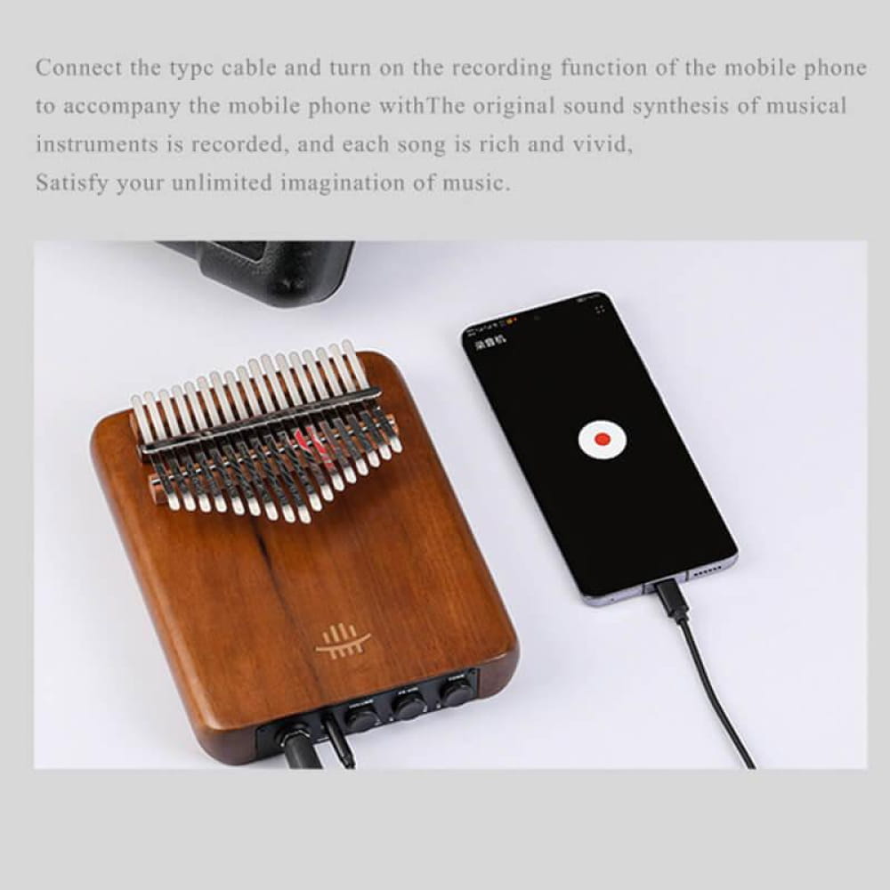 17/21 Key Flat Board C Tone Kalimba Thumb Piano - Kalimba - On sale