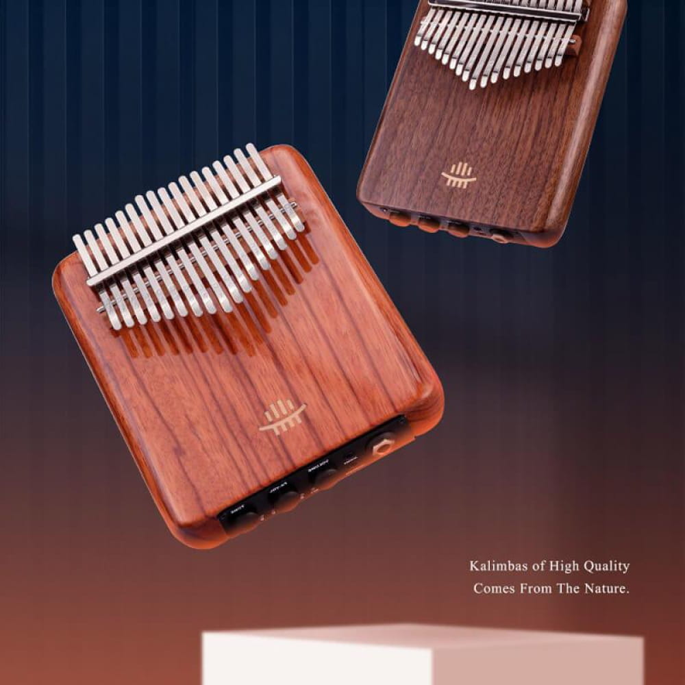 17/21 Key Flat Board C Tone Kalimba Thumb Piano - Kalimba - On sale