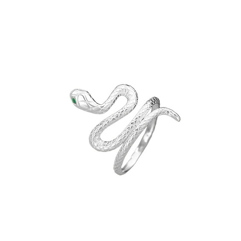925 Sterling Silver Year of the Snake Jewelry Set for Calm & Balance