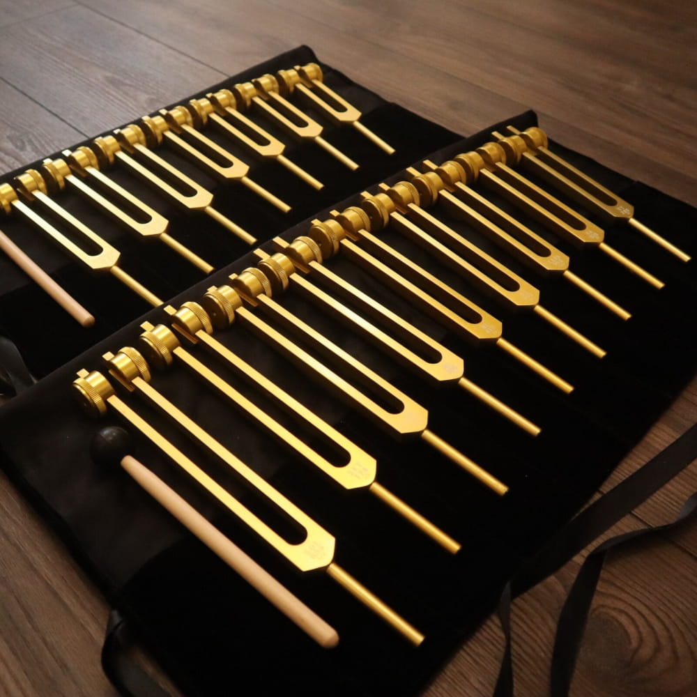 17pc Solfeggio & Chakra Tuning Fork Set Gold 2 Bags - On sale