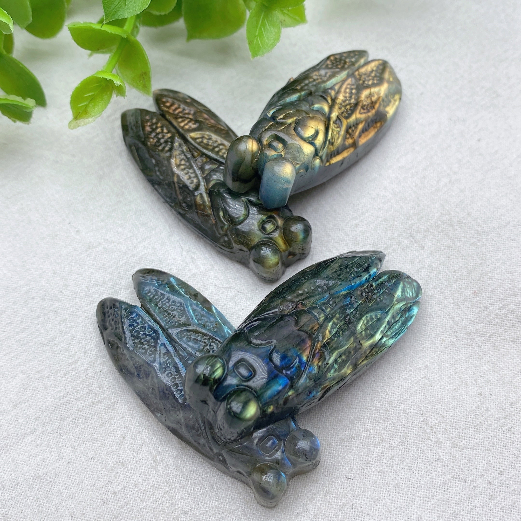 2.0" Blue Flash Labradorite Cicada Crystal Animal Carving