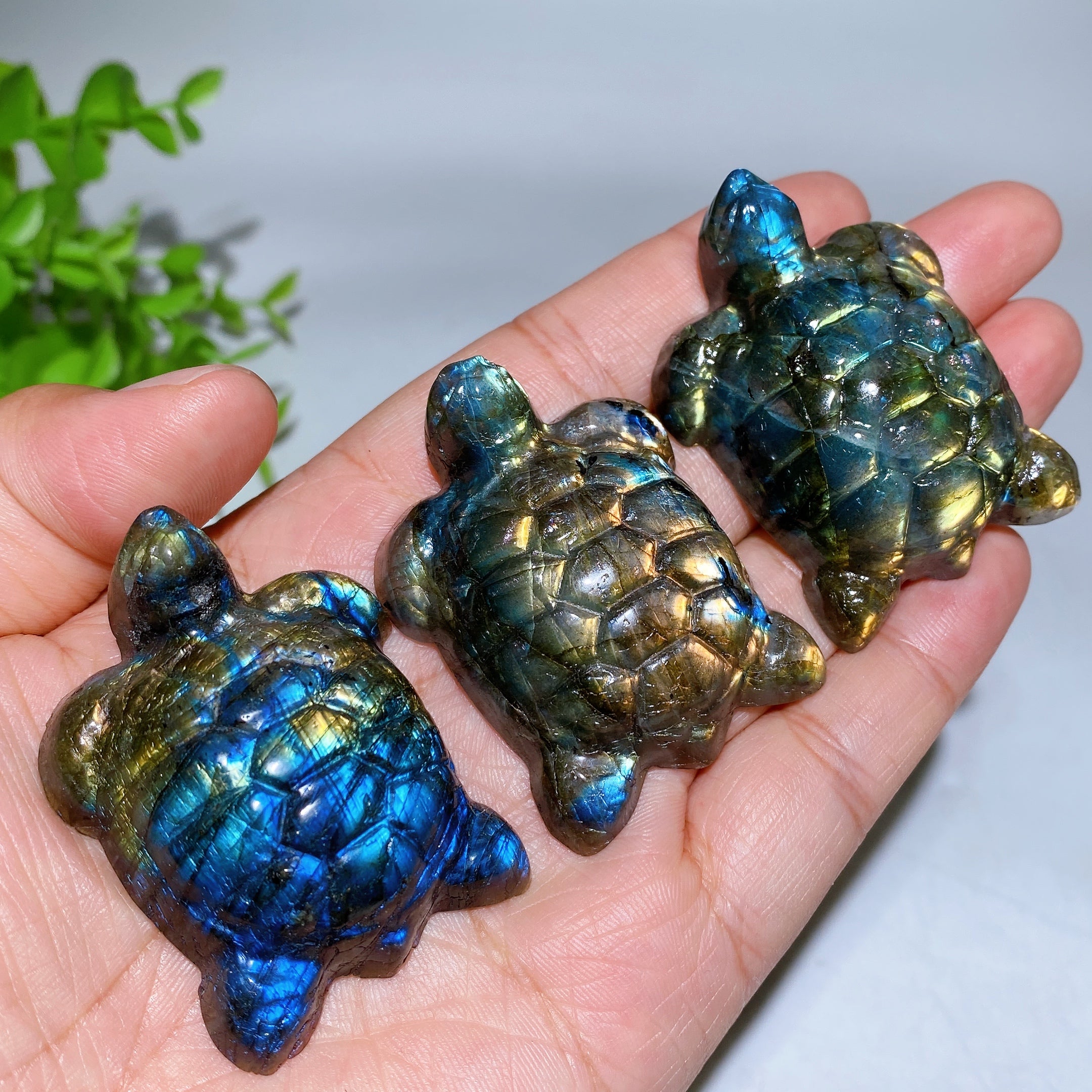 2.0 inch Labradorite Crystal Turtle Figurine for Healing
