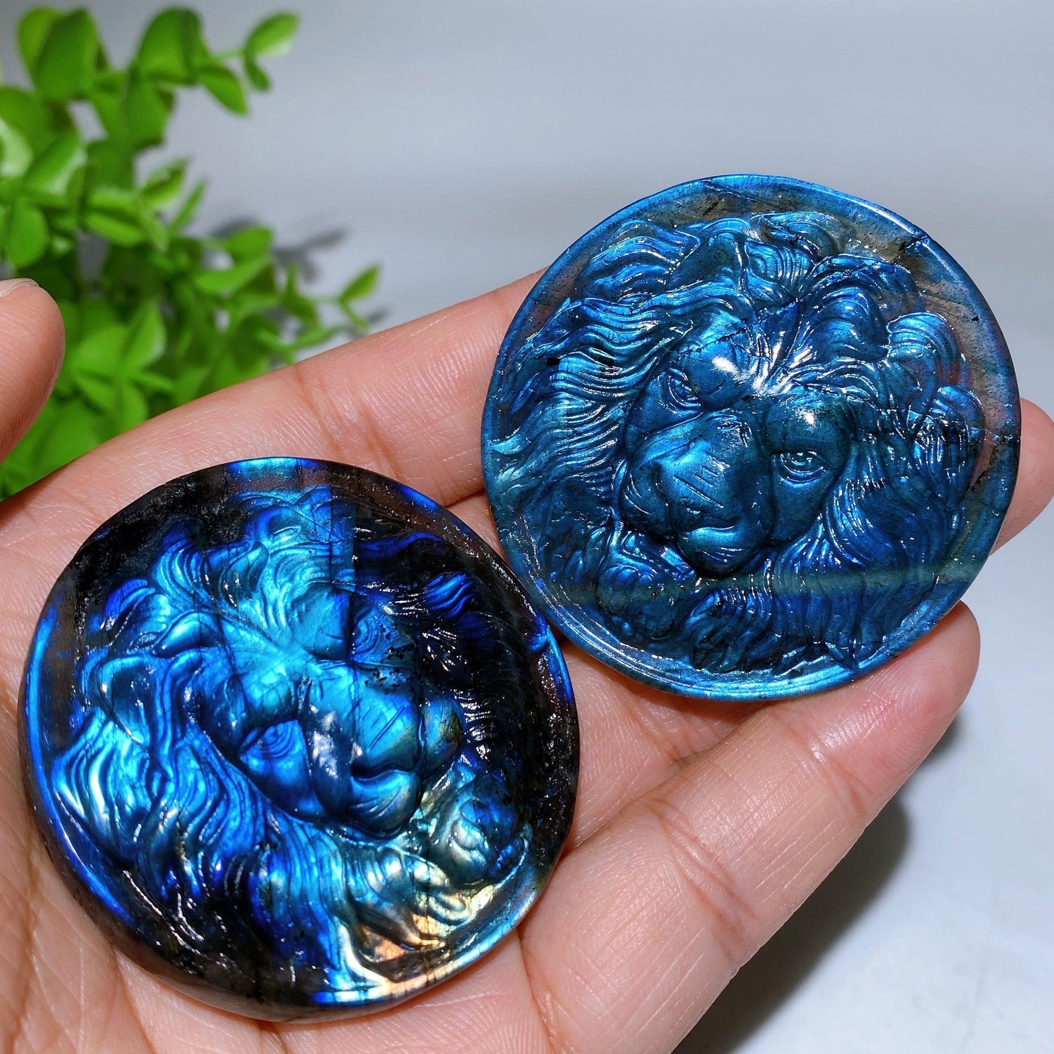 2.0-inch Labradorite Lion Crystal Figurine Carving