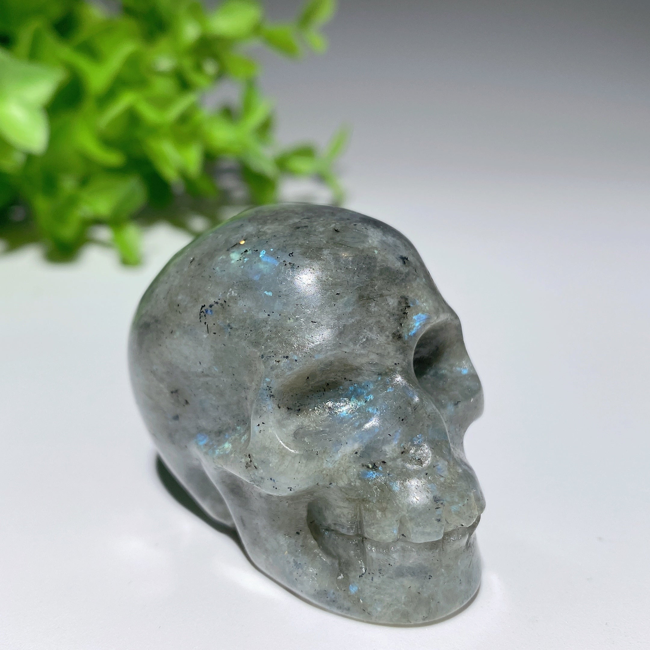 Sculptures de crânes en cristal mixtes de 2,0 pouces pour la guérison et la méditation
