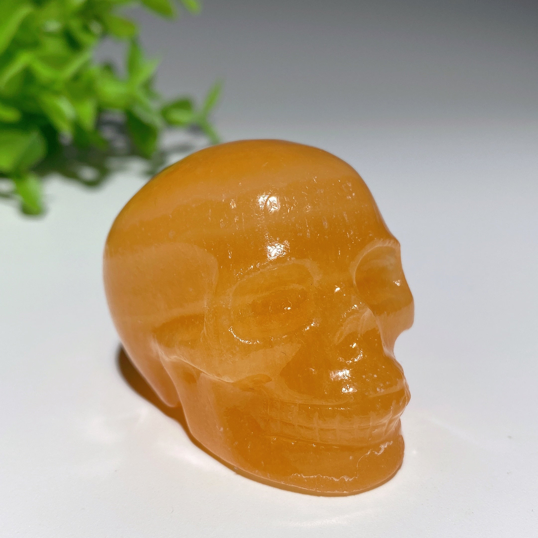 Sculptures de crânes en cristal mixtes de 2,0 pouces pour la guérison et la méditation
