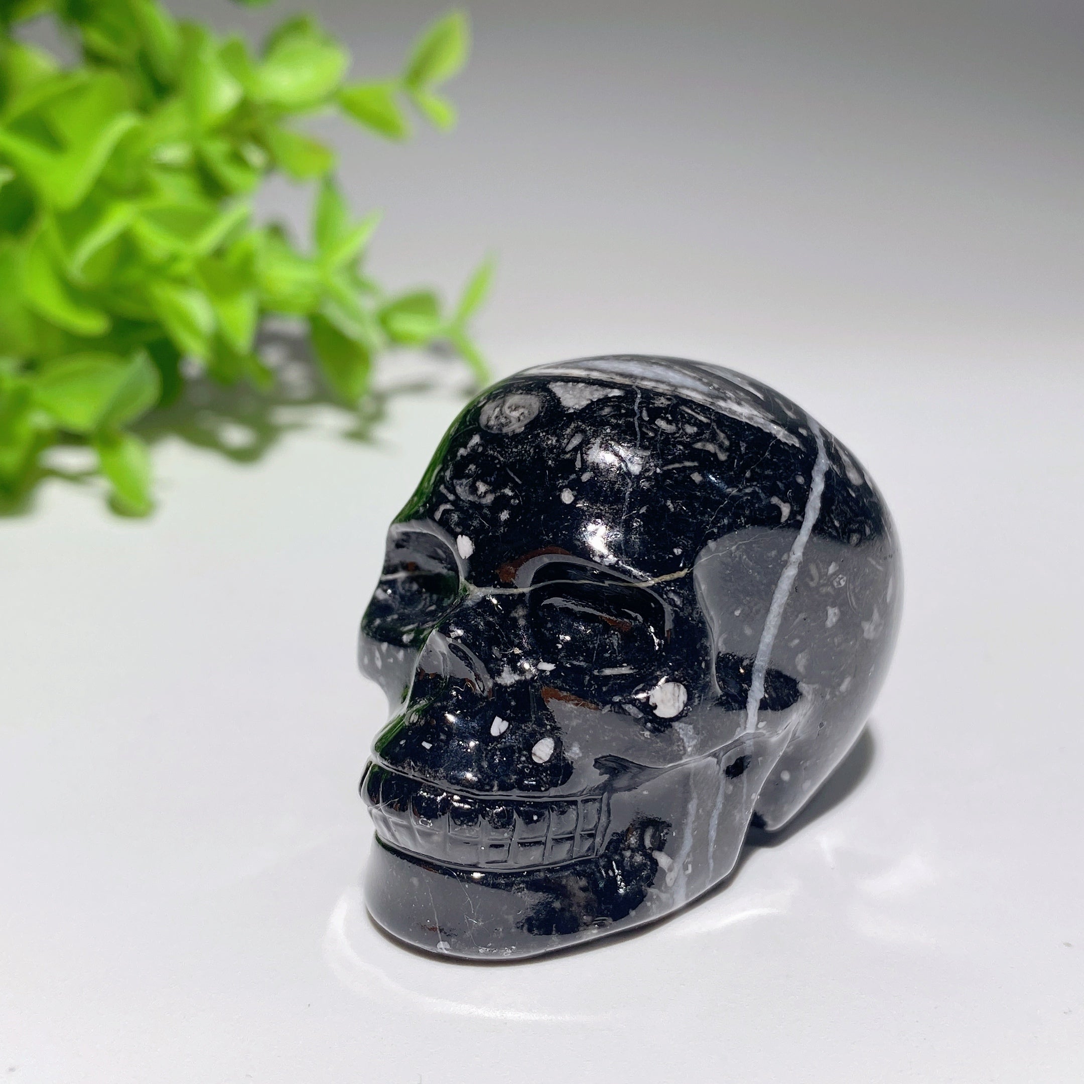 Sculptures de crânes en cristal mixtes de 2,0 pouces pour la guérison et la méditation
