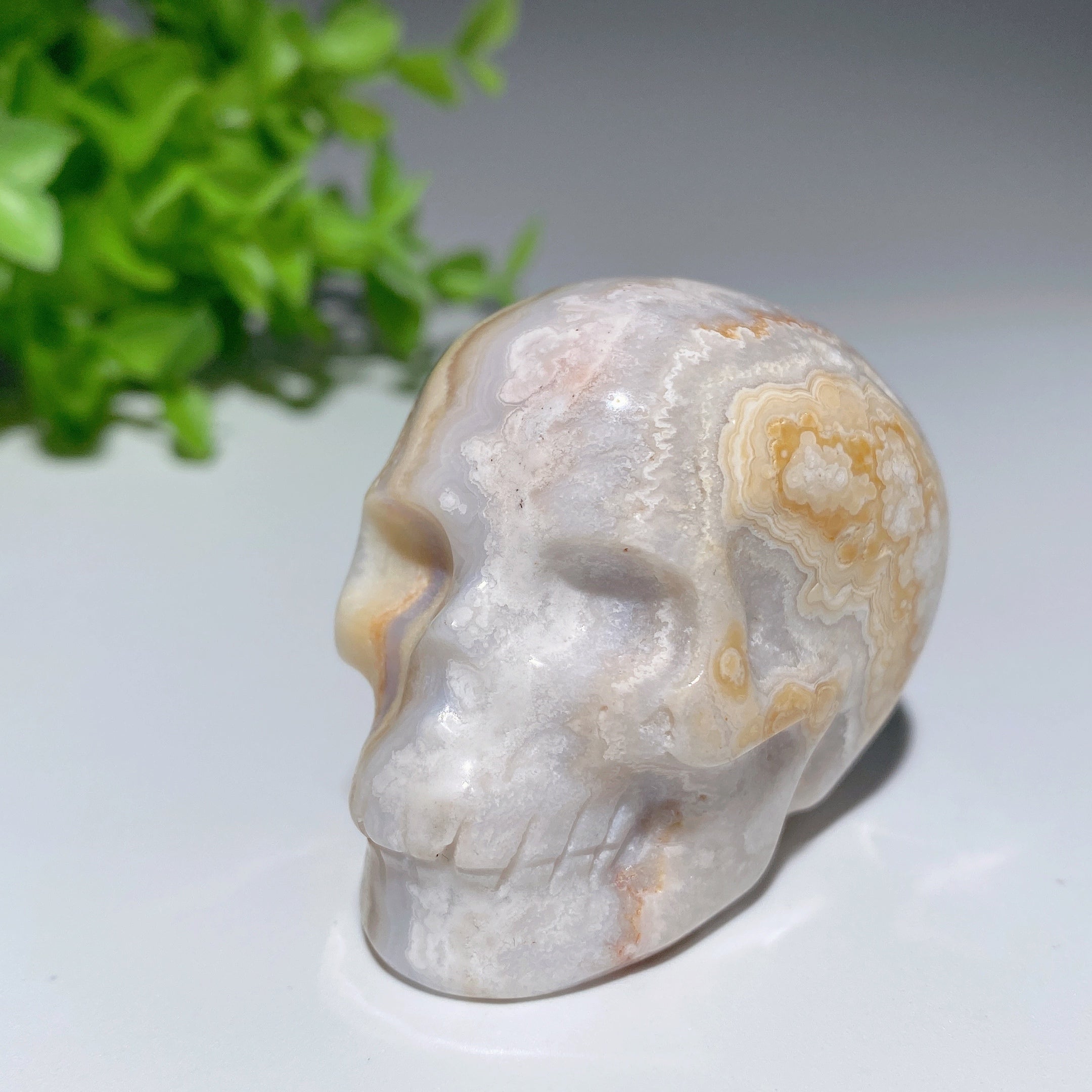 Sculptures de crânes en cristal mixtes de 2,0 pouces pour la guérison et la méditation