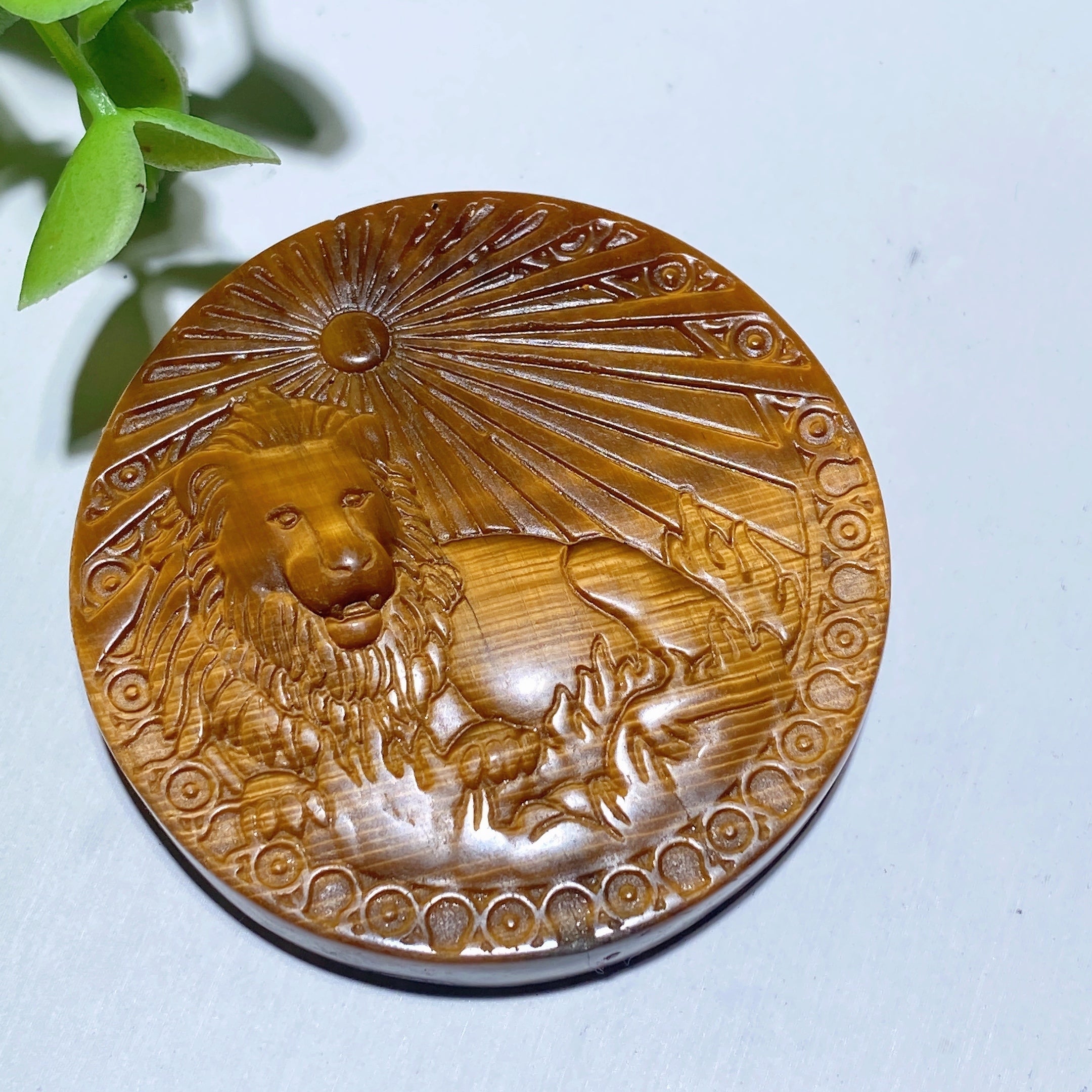 2.0 inch Yellow Tiger's Eye Zodiac Slab Crystal Healing