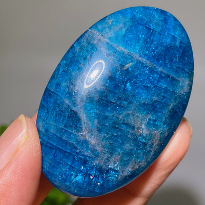 Pierre de paume de guérison en apatite bleue de 5,3 cm pour la méditation