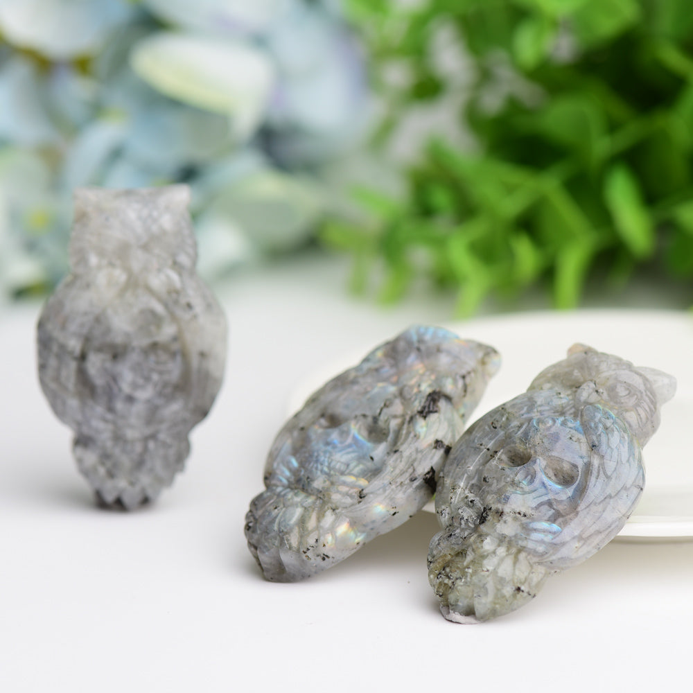 2.1-inch Labradorite Crystal Owl Carving with Skull Symbolism