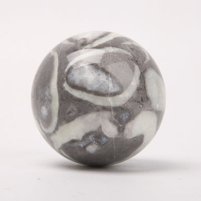 Sphère de cristal coquillage de 2,2 à 2,45 pouces pour la guérison et la décoration