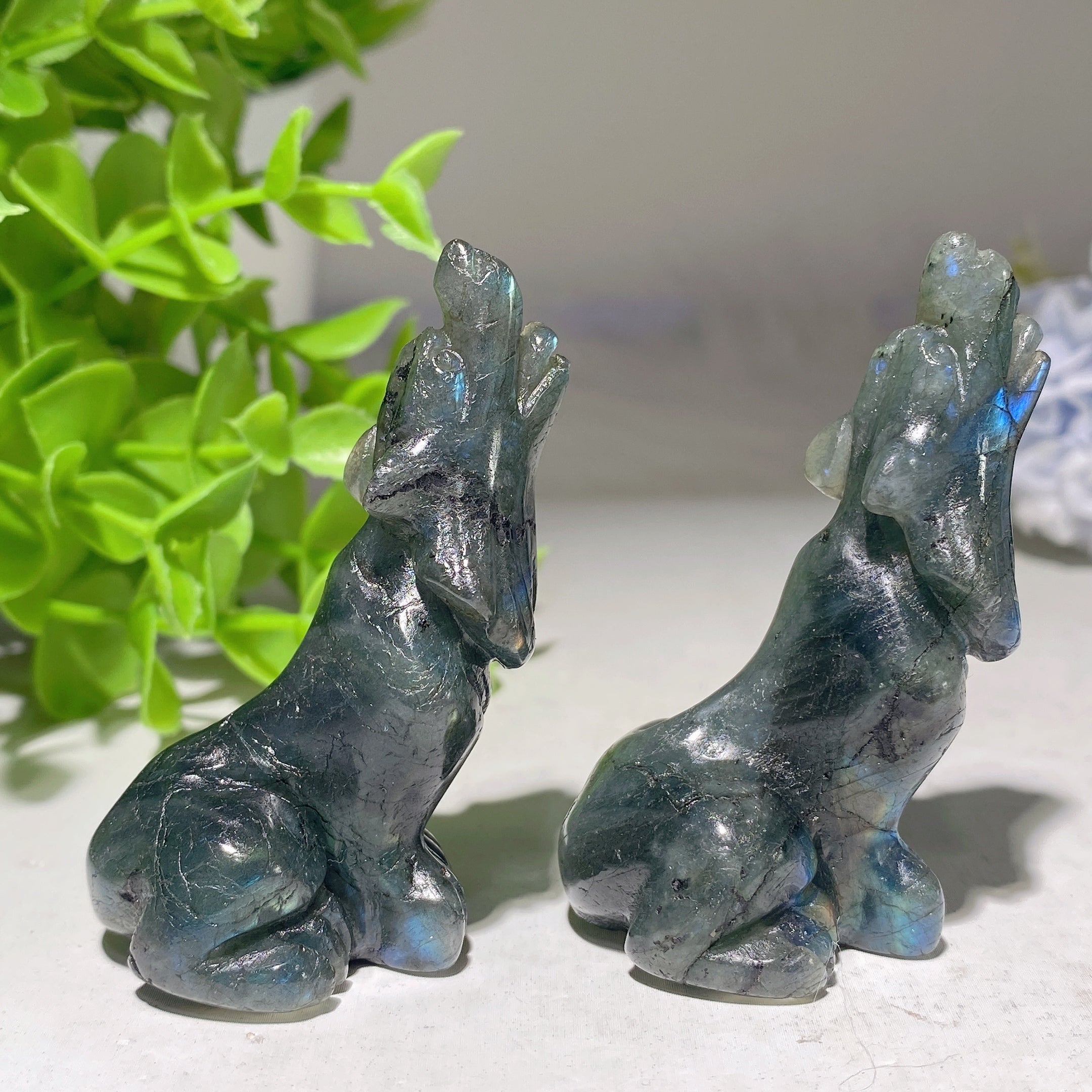 Sculpture en cristal de loup en œil de tigre jaune et labradorite de 2,2 pouces