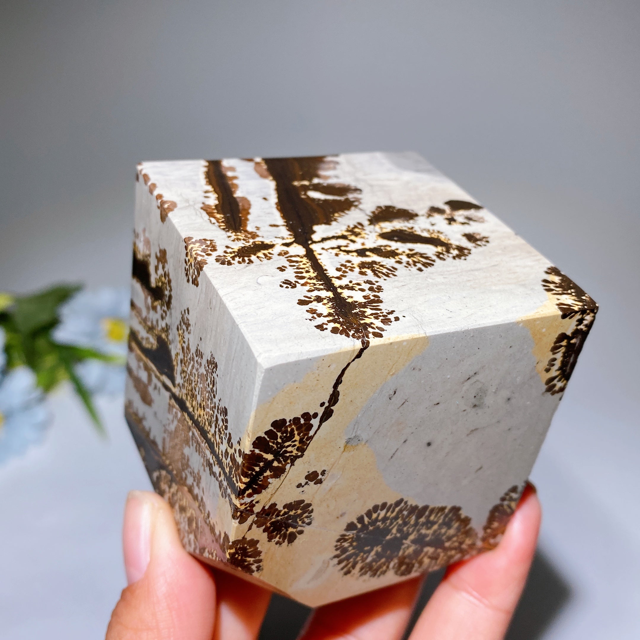 2.3 Inch Picture Jasper Cube Crystal Figurine for Healing
