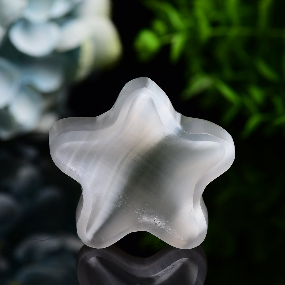 Bol en sélénite en forme d'étoile de 2,3 pouces pour décoration en cristal