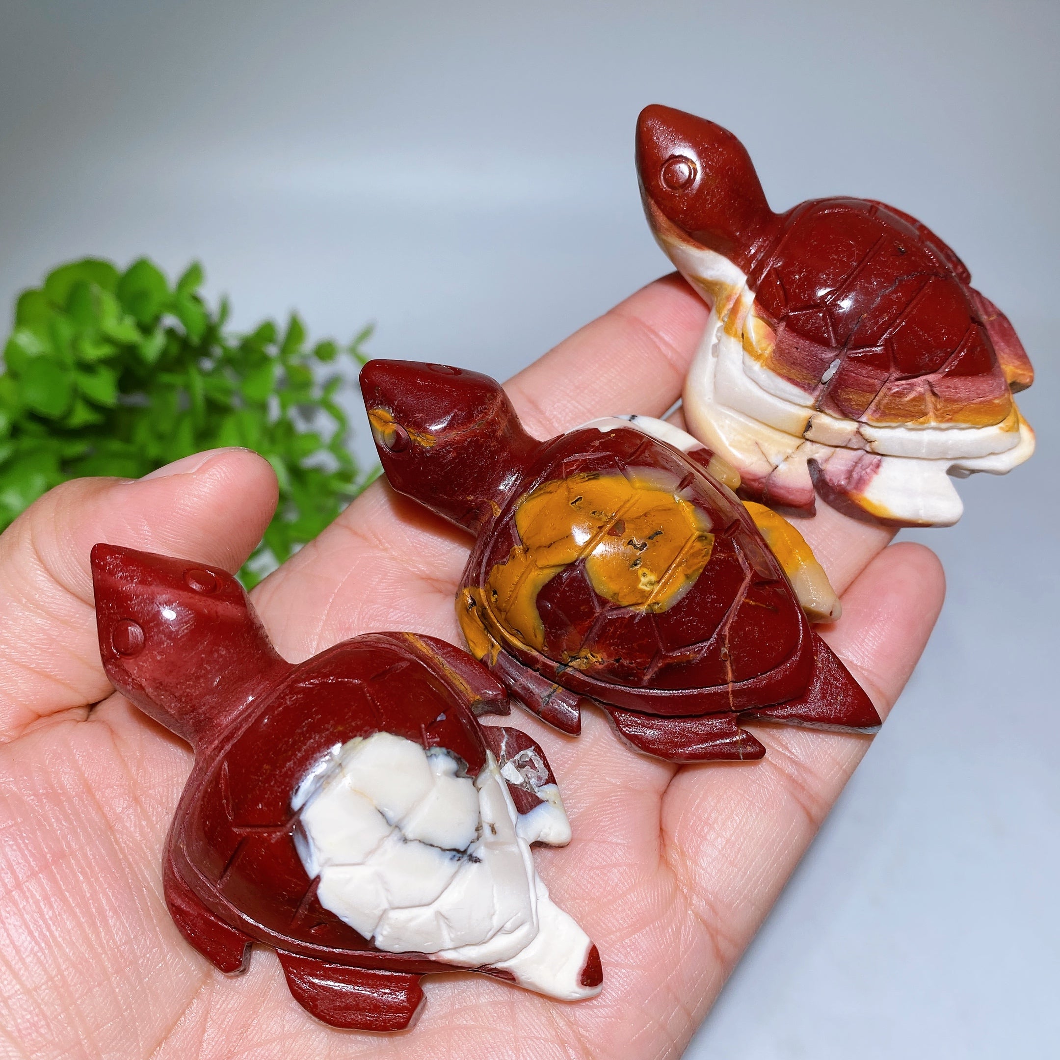 2.4-2.9 inch Mookite Crystal Turtle Carving for Healing