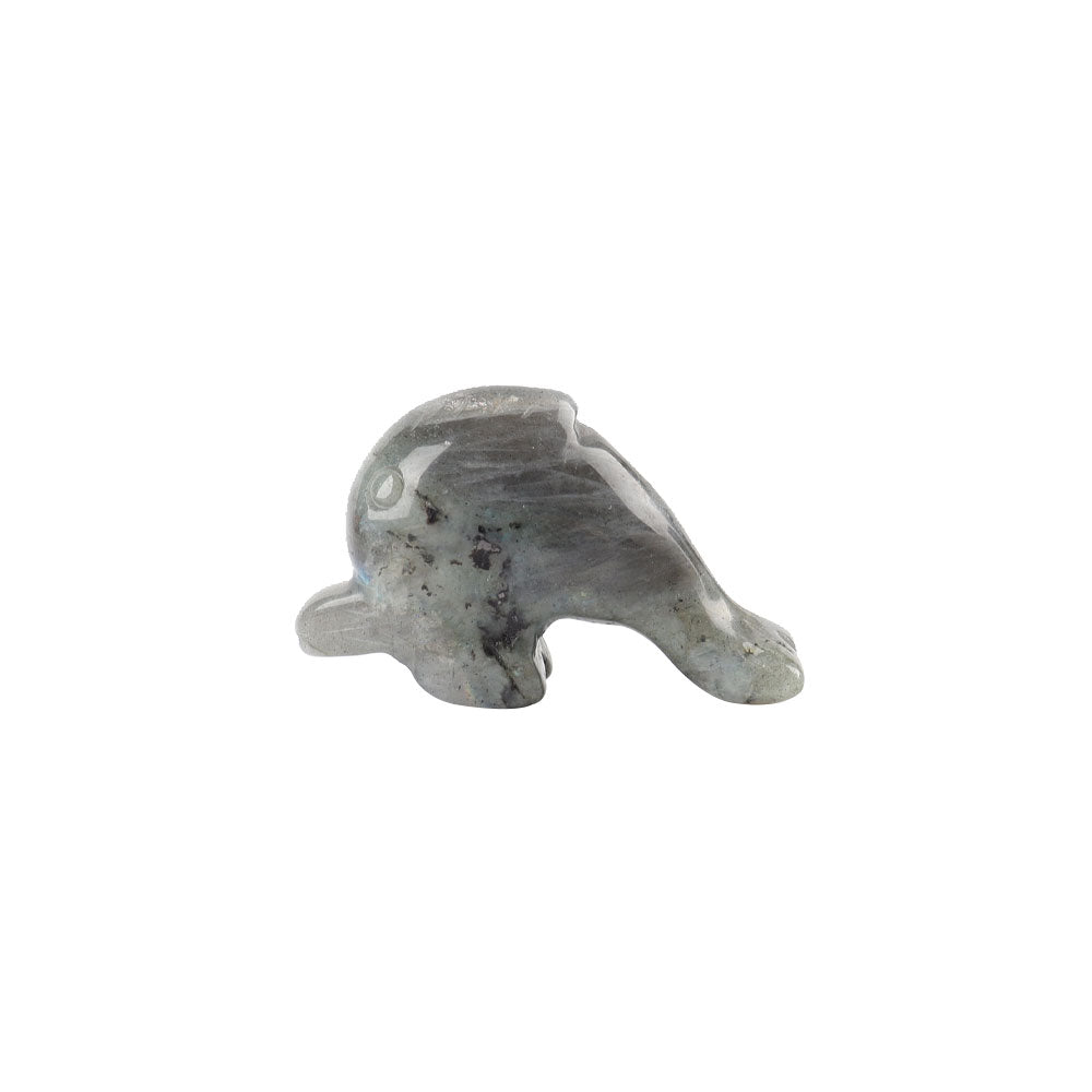 2 inch Crystal Dolphin Figurines in Healing Stones Collection