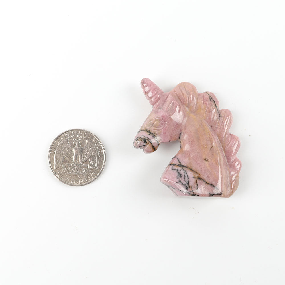 2" Rhodonite Crystal Animal Unicorn Carving for Balance