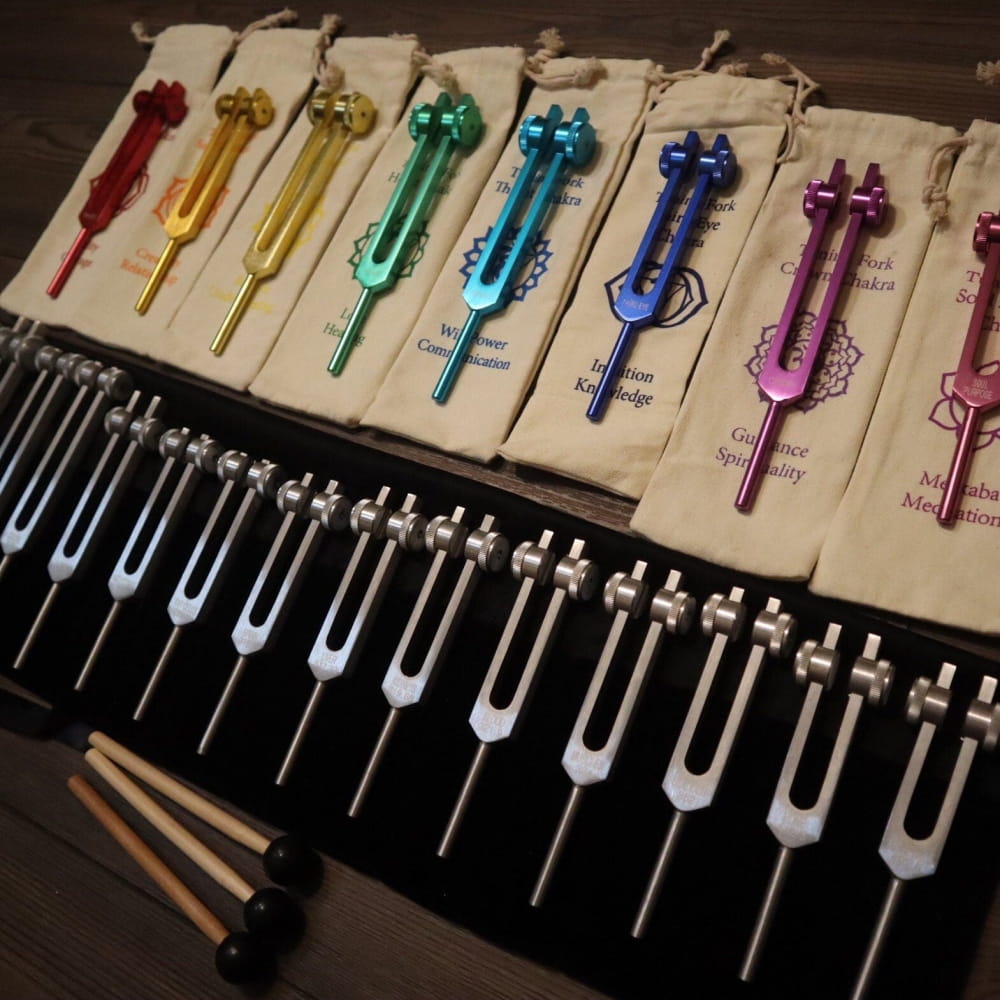 23pc Human Biology & Chakra Tuning Fork Set - Sound Vibration - On sale