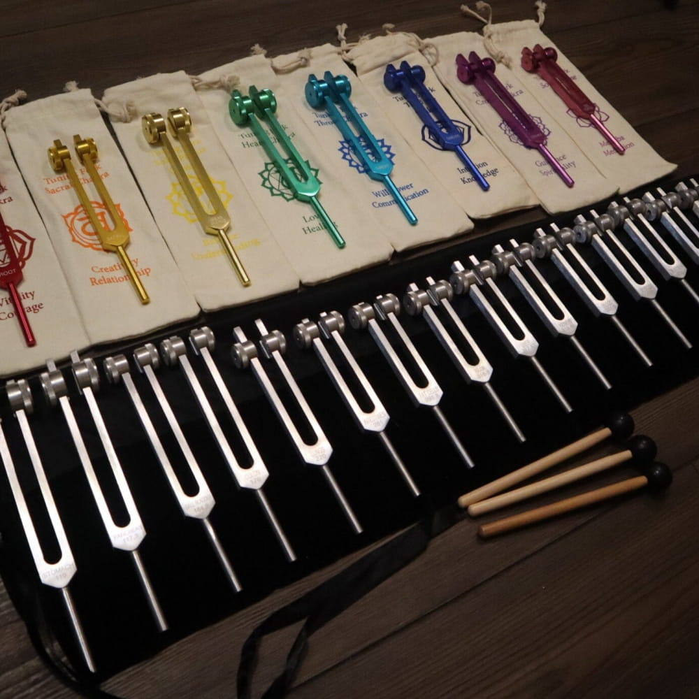 23pc Human Biology & Chakra Tuning Fork Set - Sound Vibration - On sale