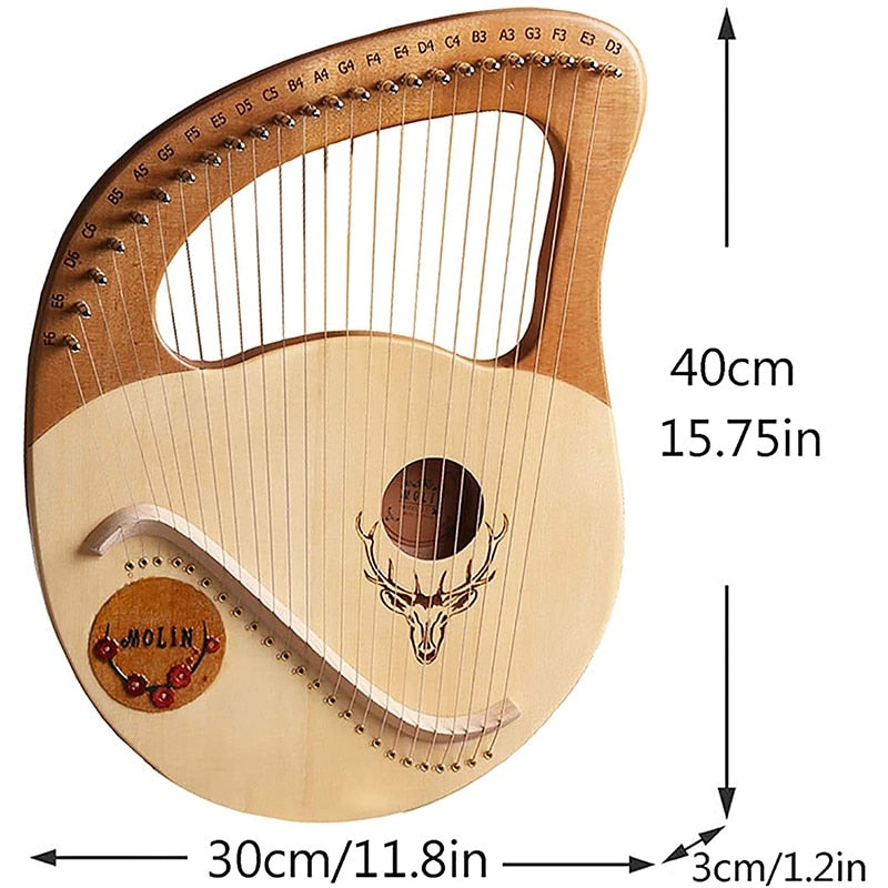 24 String Lyre Harp Instrument with Steel Strings