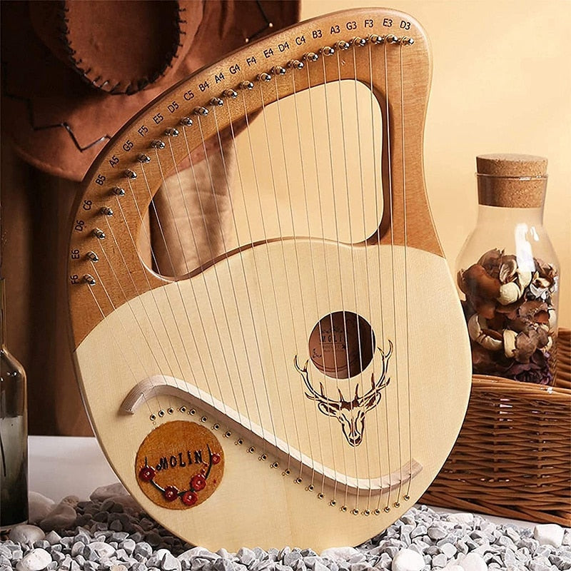 24 String Lyre Harp Instrument with Steel Strings