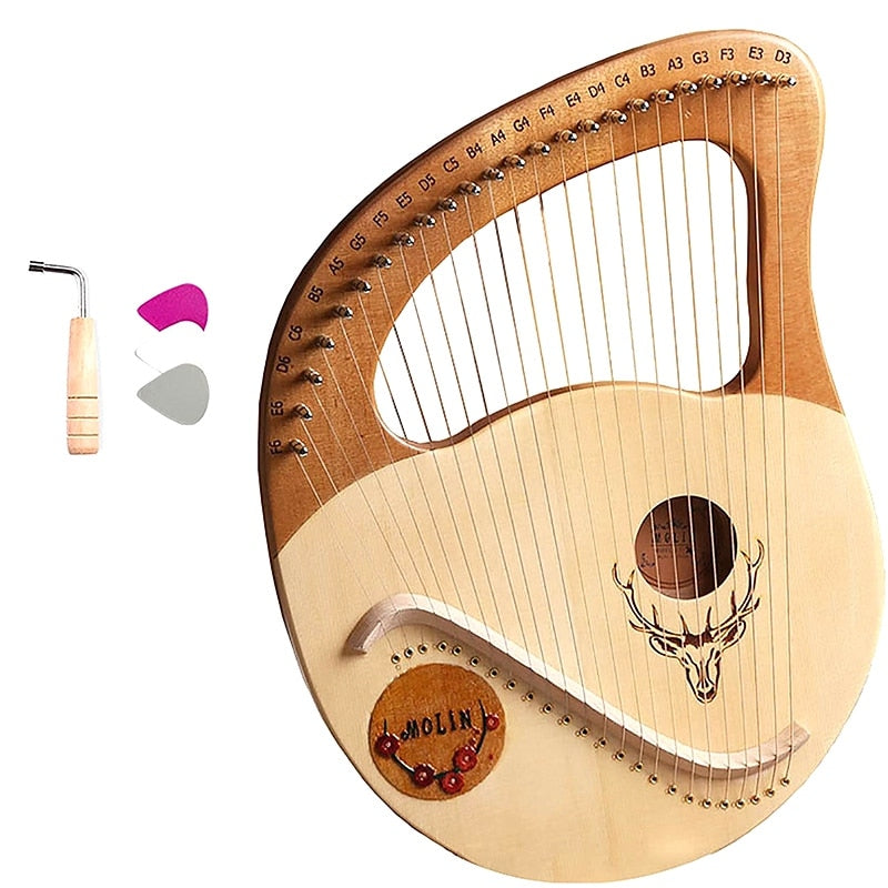 24 String Lyre Harp Instrument with Steel Strings