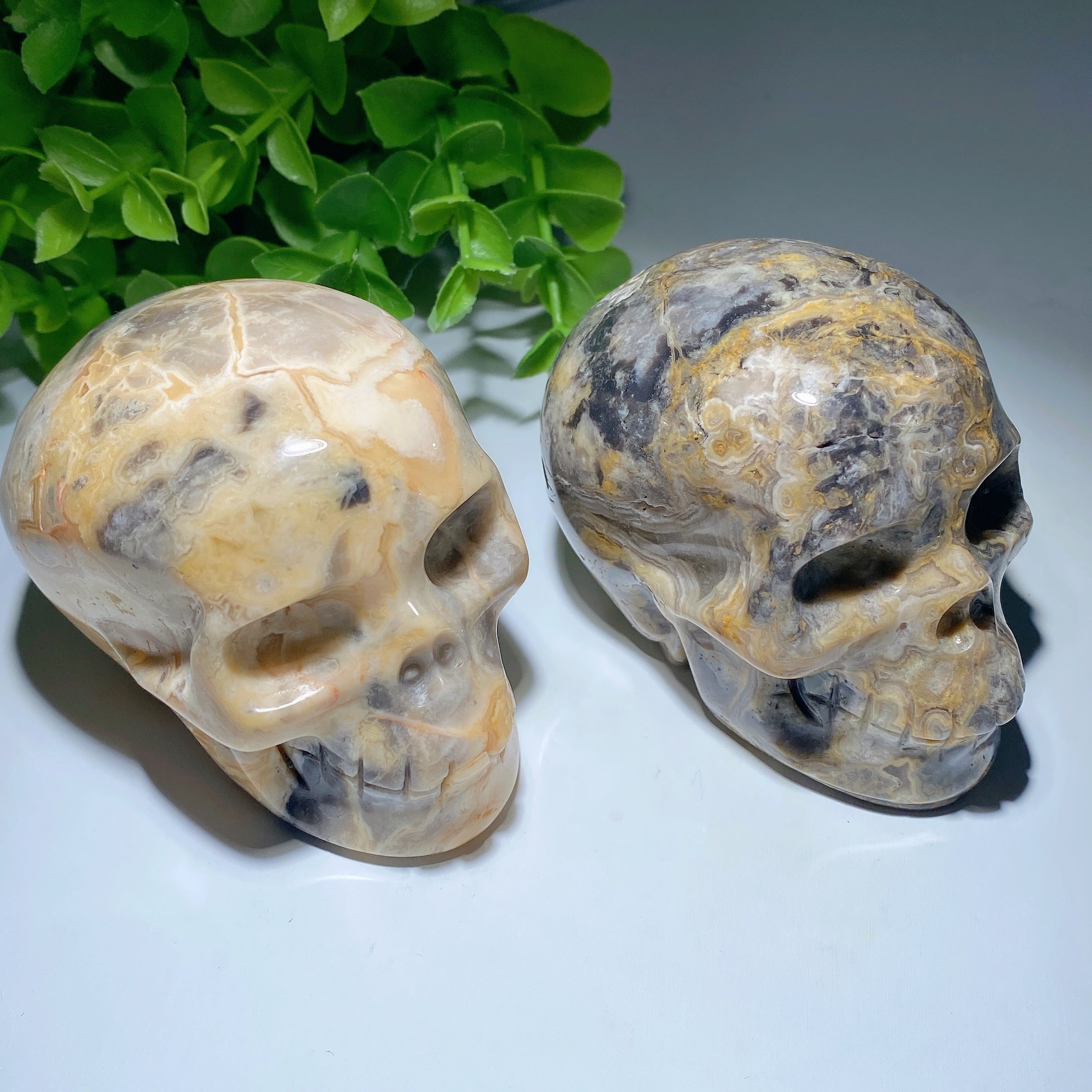 3.2 Inch Crazy Agate Crystal Skull for Healing Meditation
