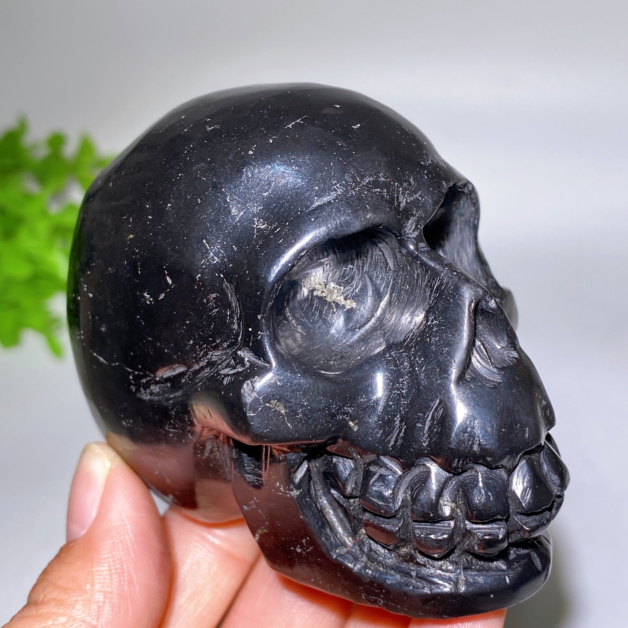 3.3 inch Schungite Skull Crystal Figurine Carving