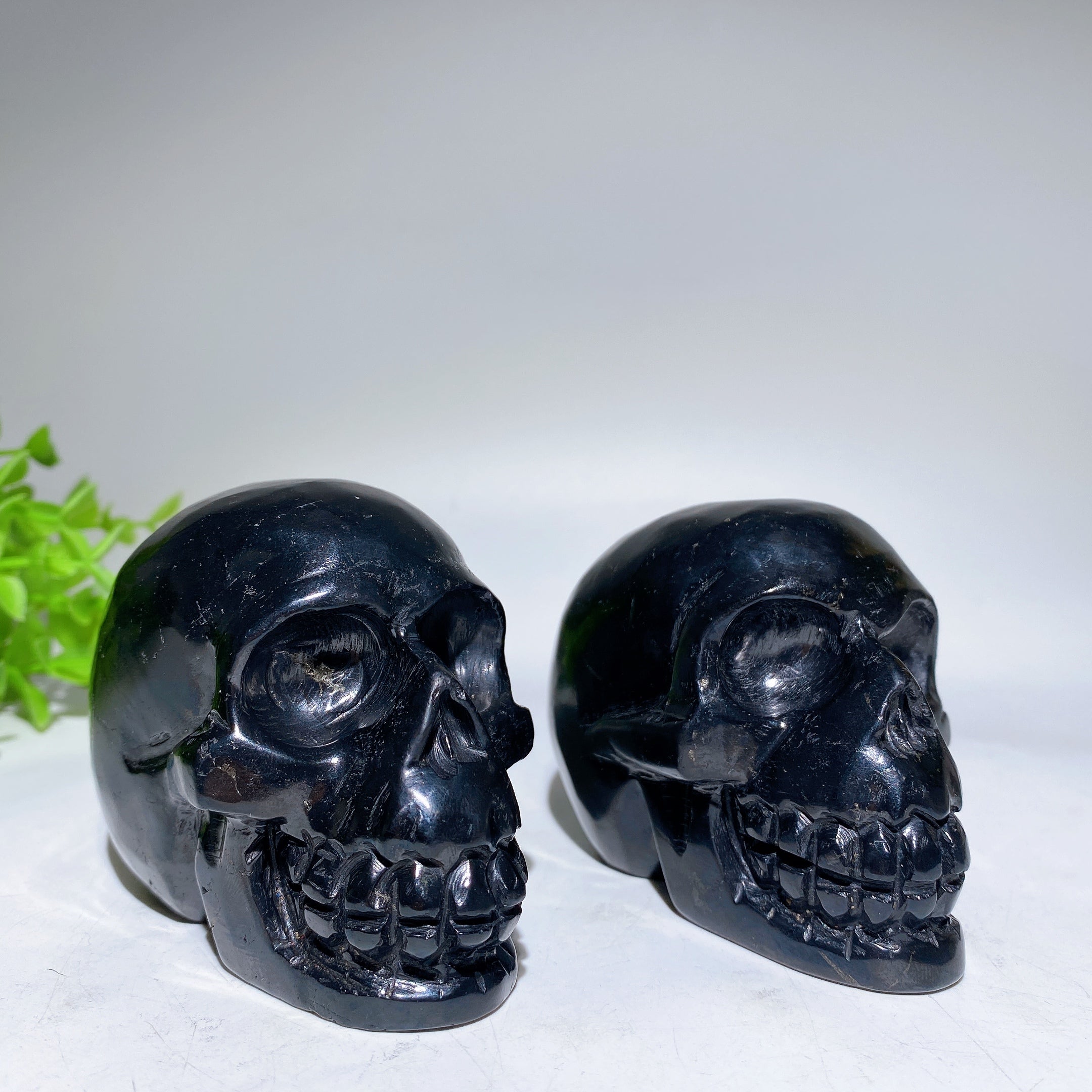 3.3 inch Schungite Skull Crystal Figurine Carving