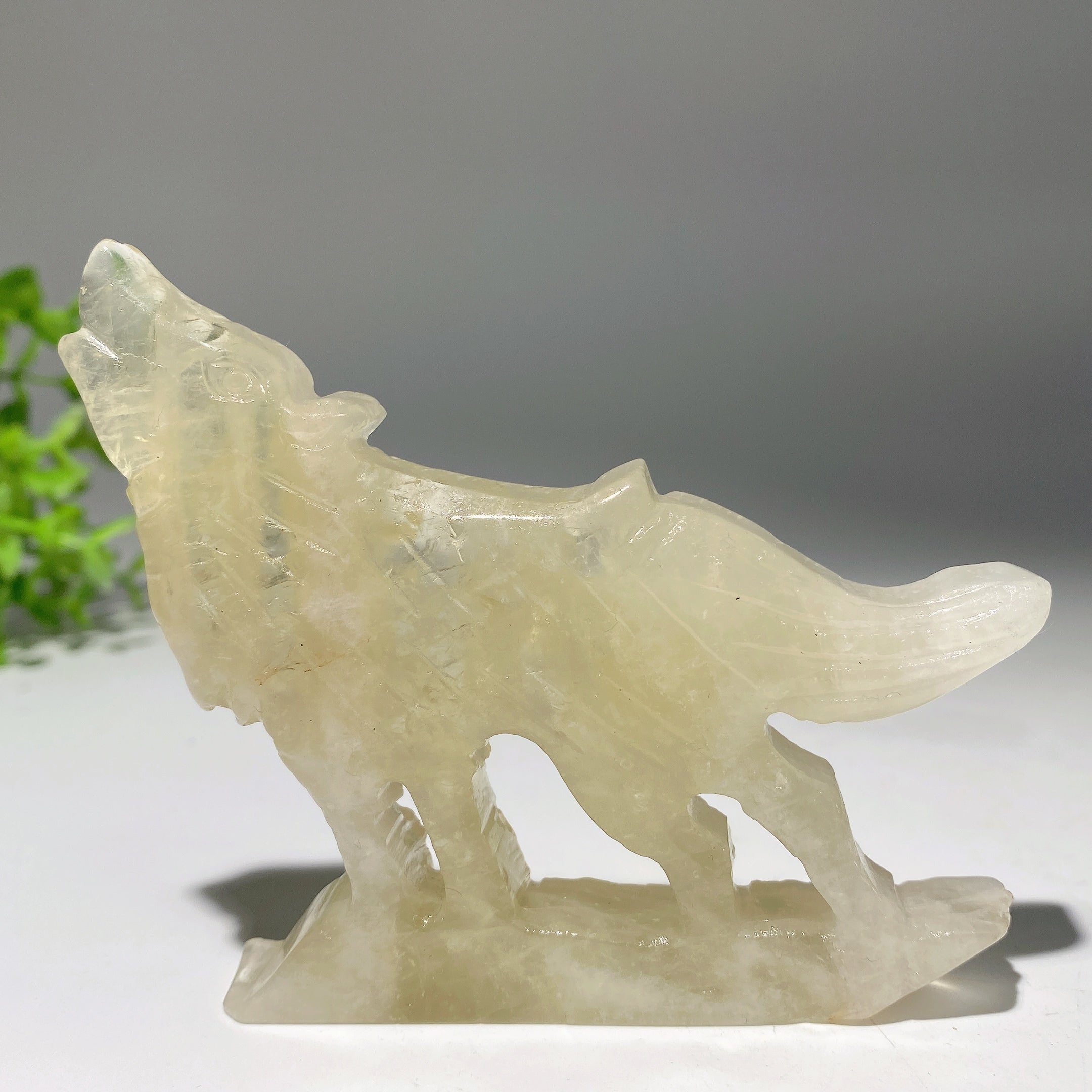 Figurine de loup en cristal mixte de 3,5 à 4 pouces pour la guérison