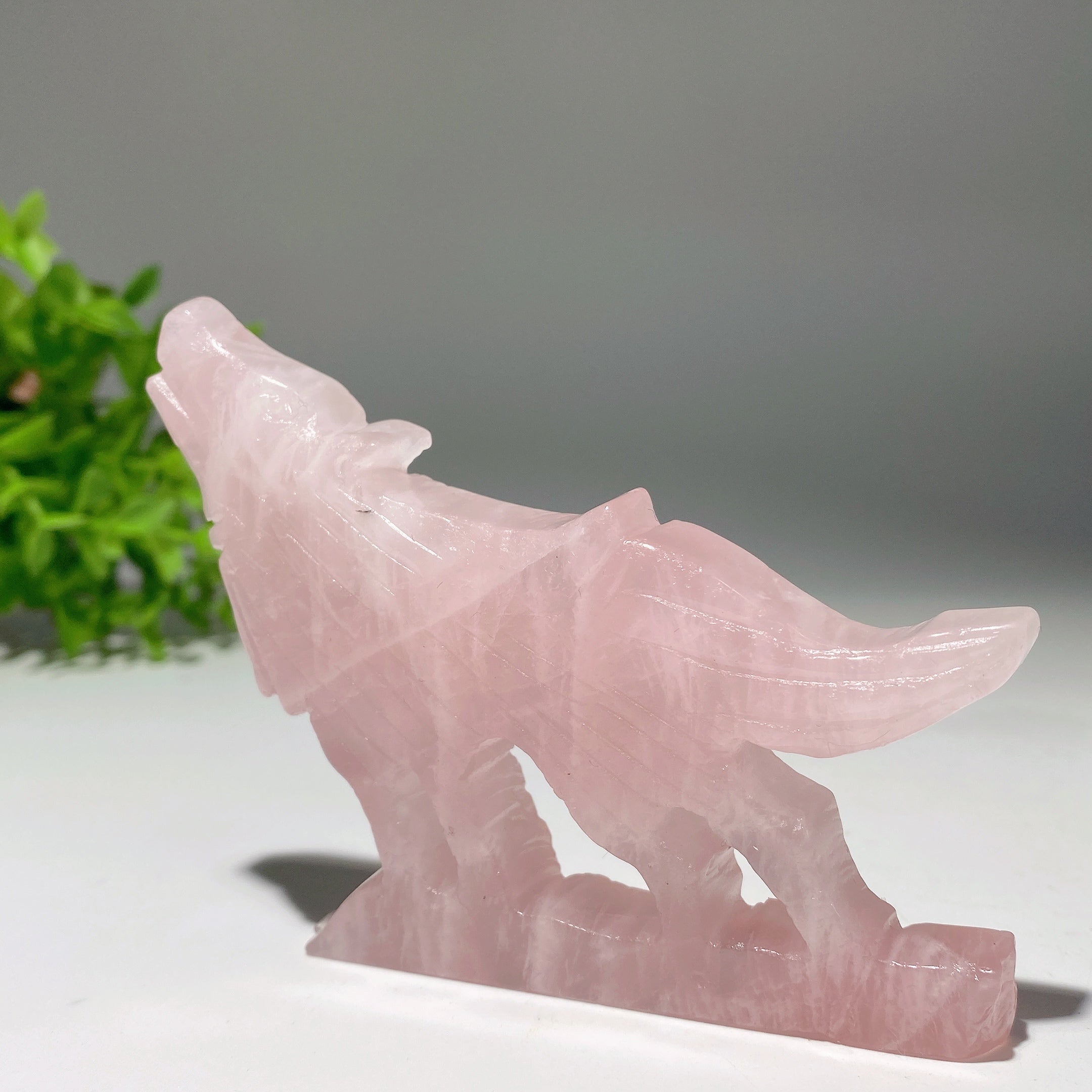 Figurine de loup en cristal mixte de 3,5 à 4 pouces pour la guérison