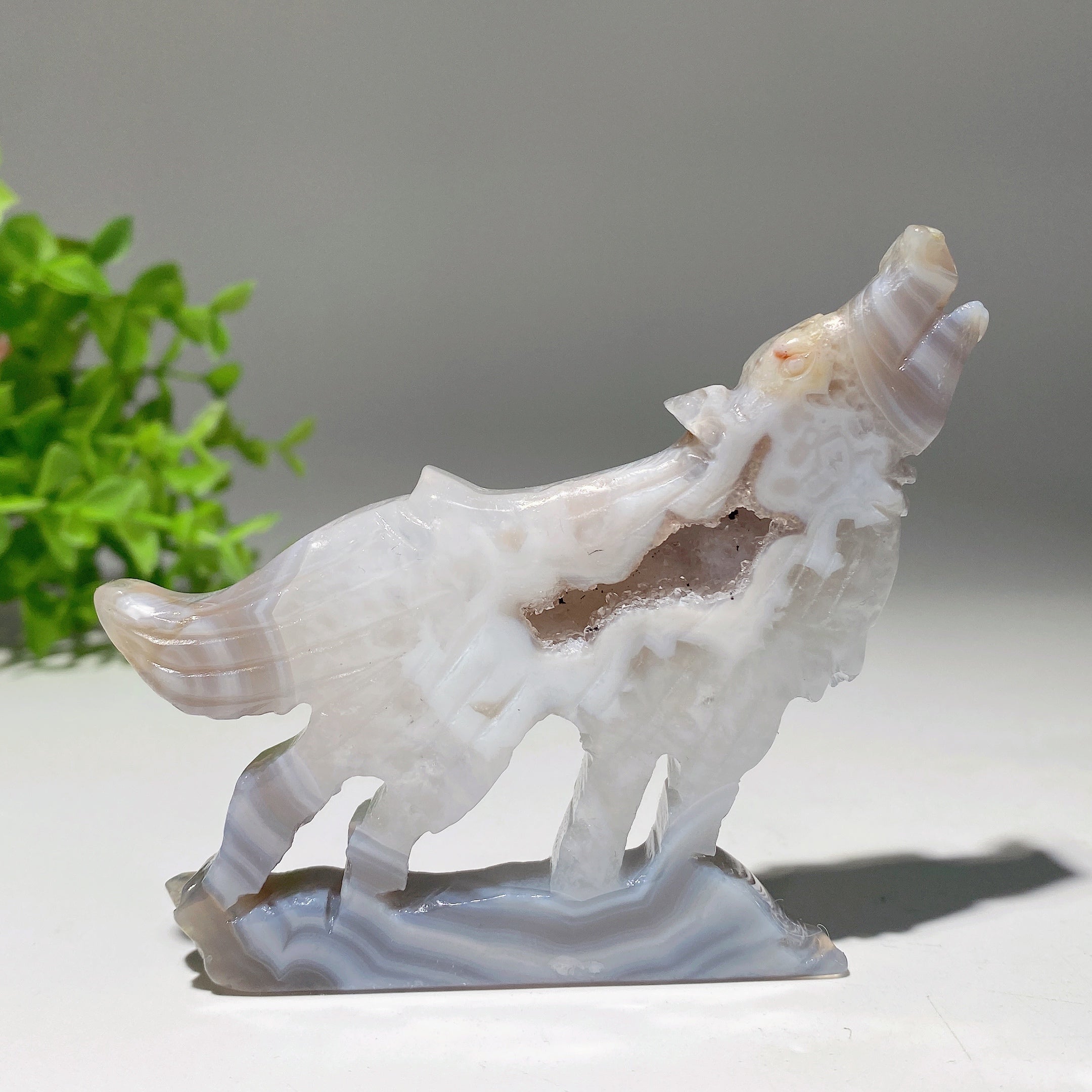 Figurine de loup en cristal mixte de 3,5 à 4 pouces pour la guérison