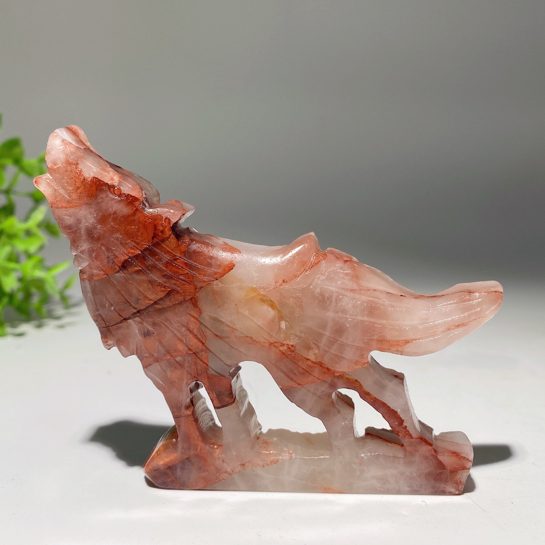Figurine de loup en cristal mixte de 3,5 à 4 pouces pour la guérison