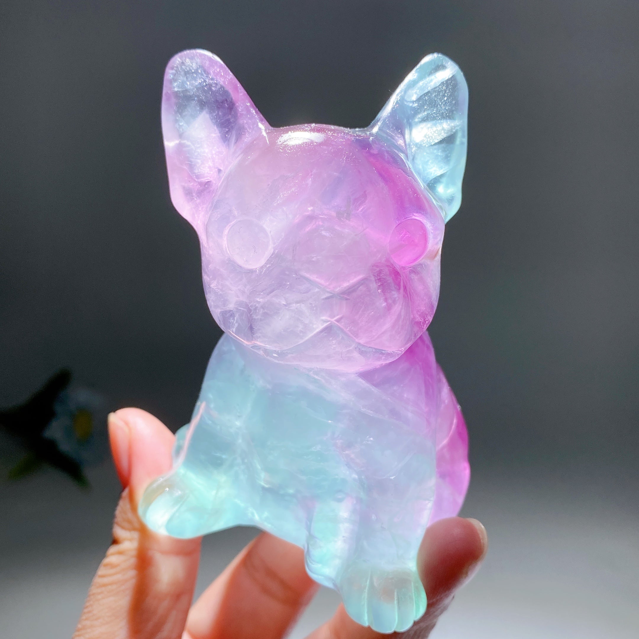 3.6 Inch Fluorite Crystal Dog Figurine Healing Stone