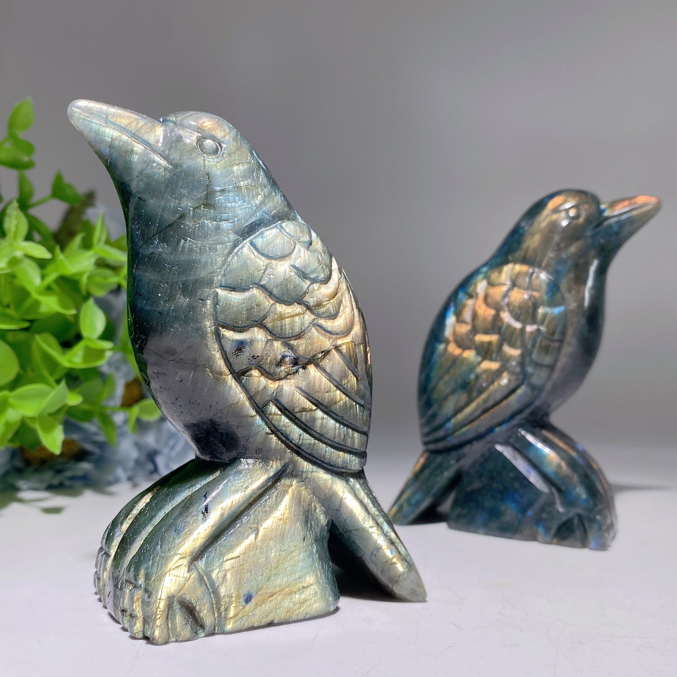 3.7 Inch Labradorite Raven Crystal Animal Carving Figurine