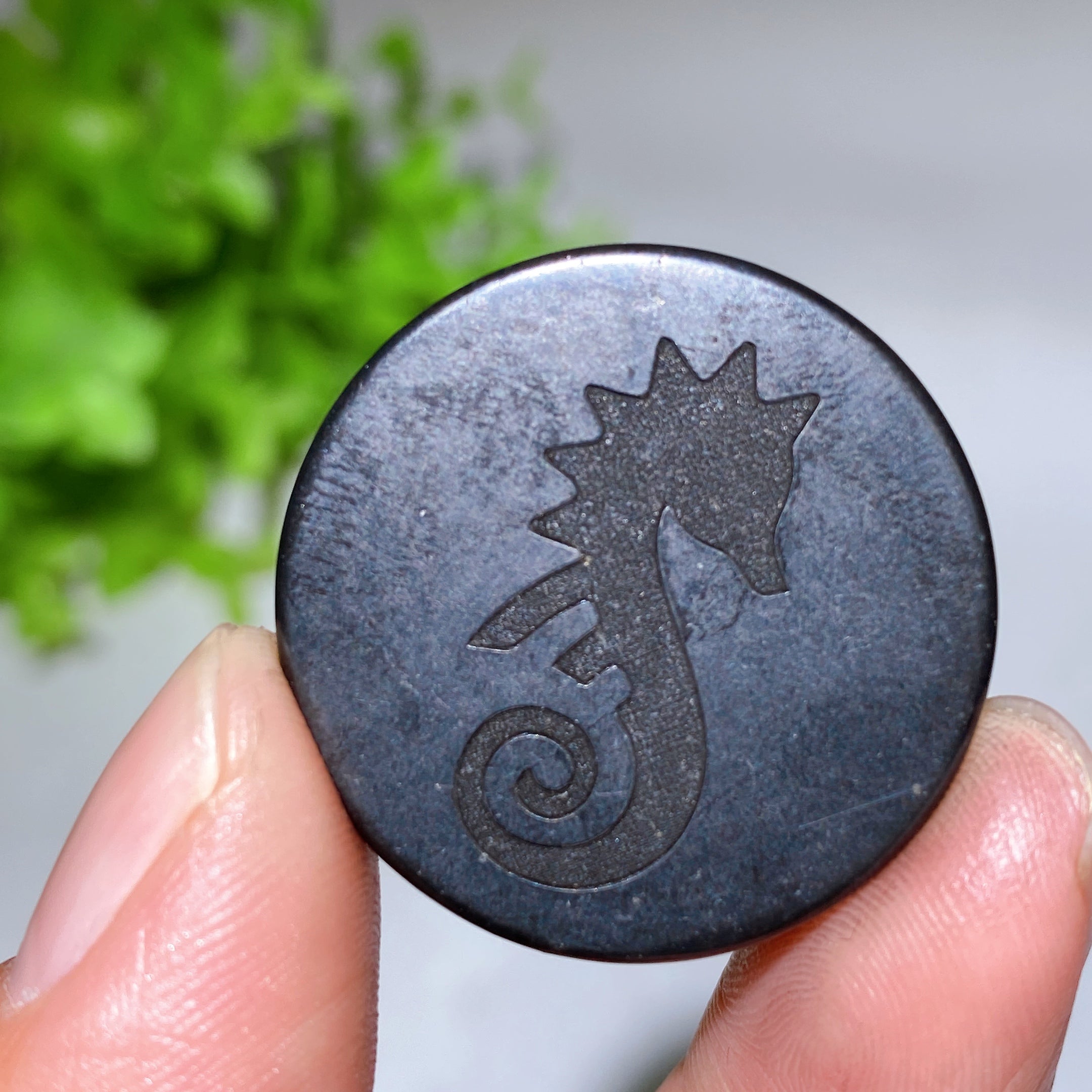 Dalle ronde en cristal de guérison schungite de 30 mm