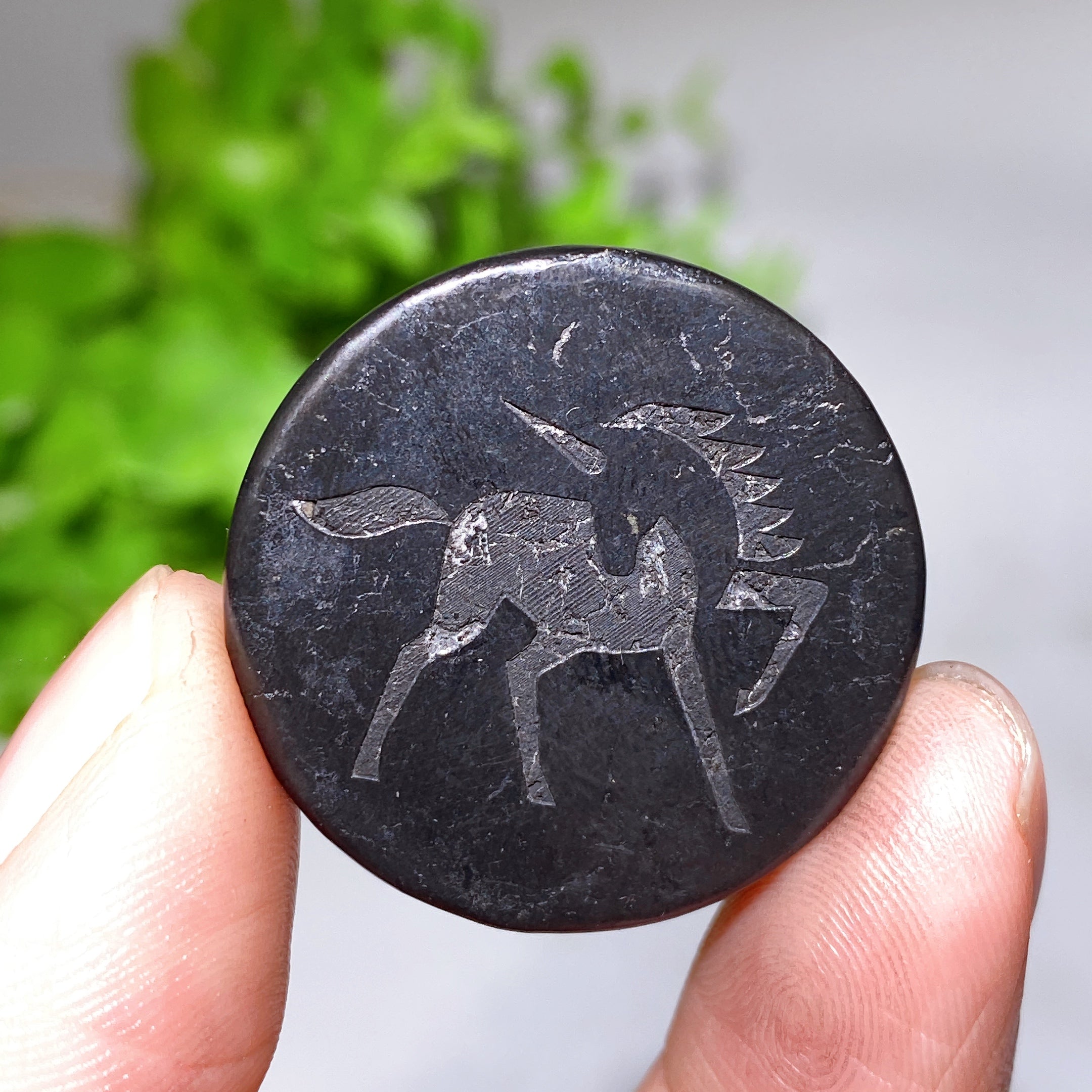 Dalle ronde en cristal de guérison schungite de 30 mm