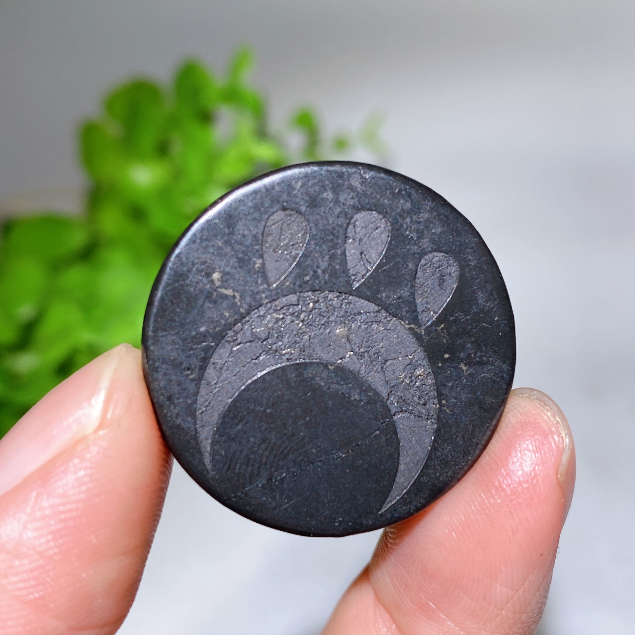 Dalle ronde en cristal de guérison schungite de 30 mm