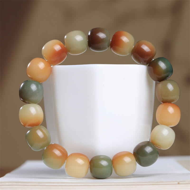 Colorful Bodhi Seed Spiritual Bracelet for Wisdom and Peace