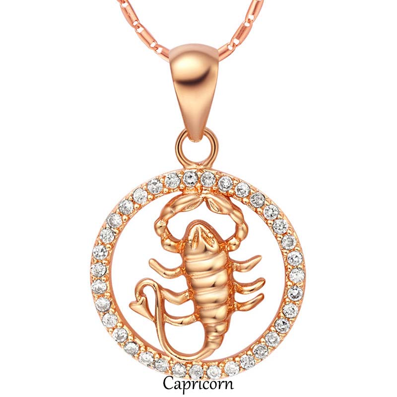 Collier en cuivre des 12 signes du zodiaque | Pendentif chance et guérison