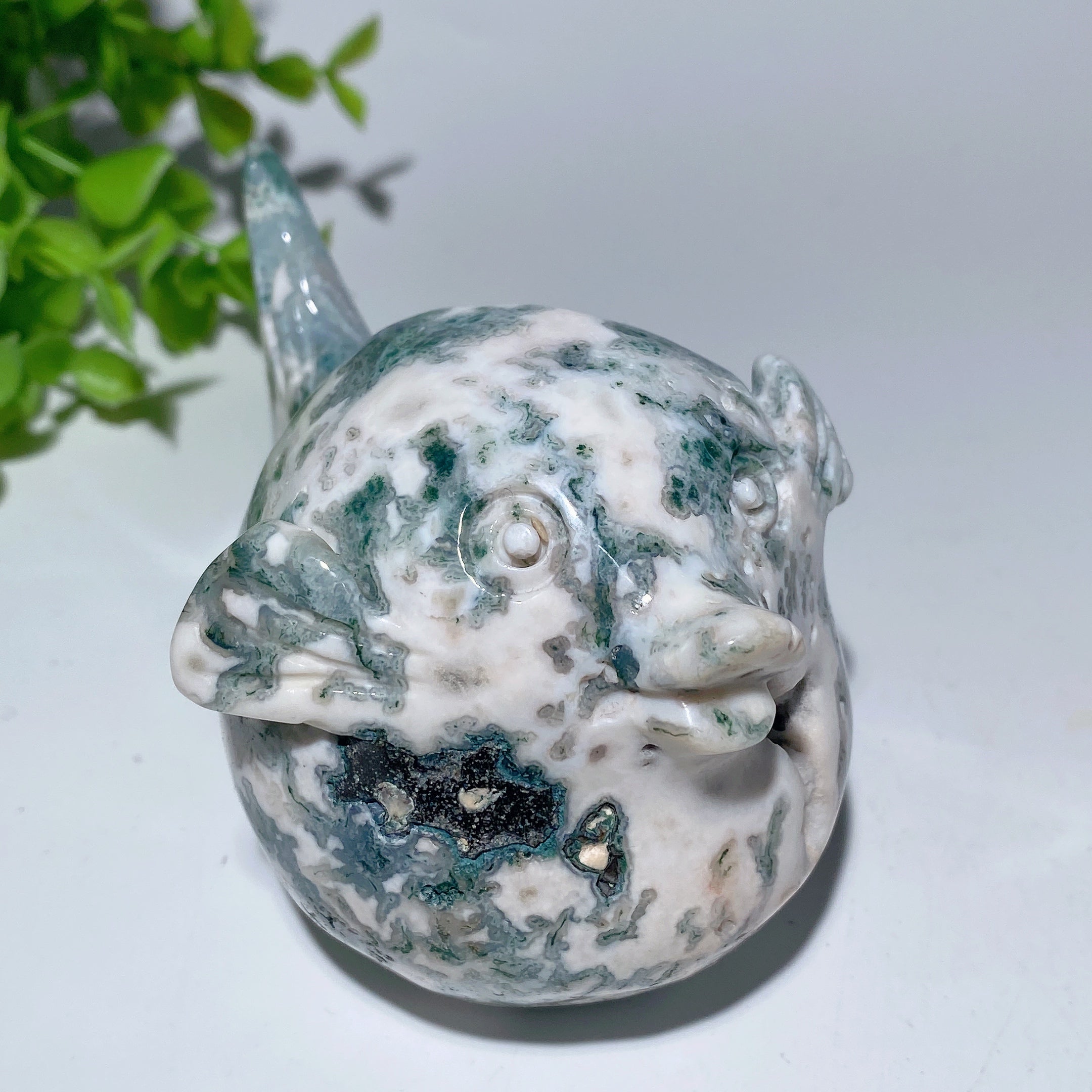 4.0 in Crystal Animal Carvings - Fluorite & Moss Agate Fish