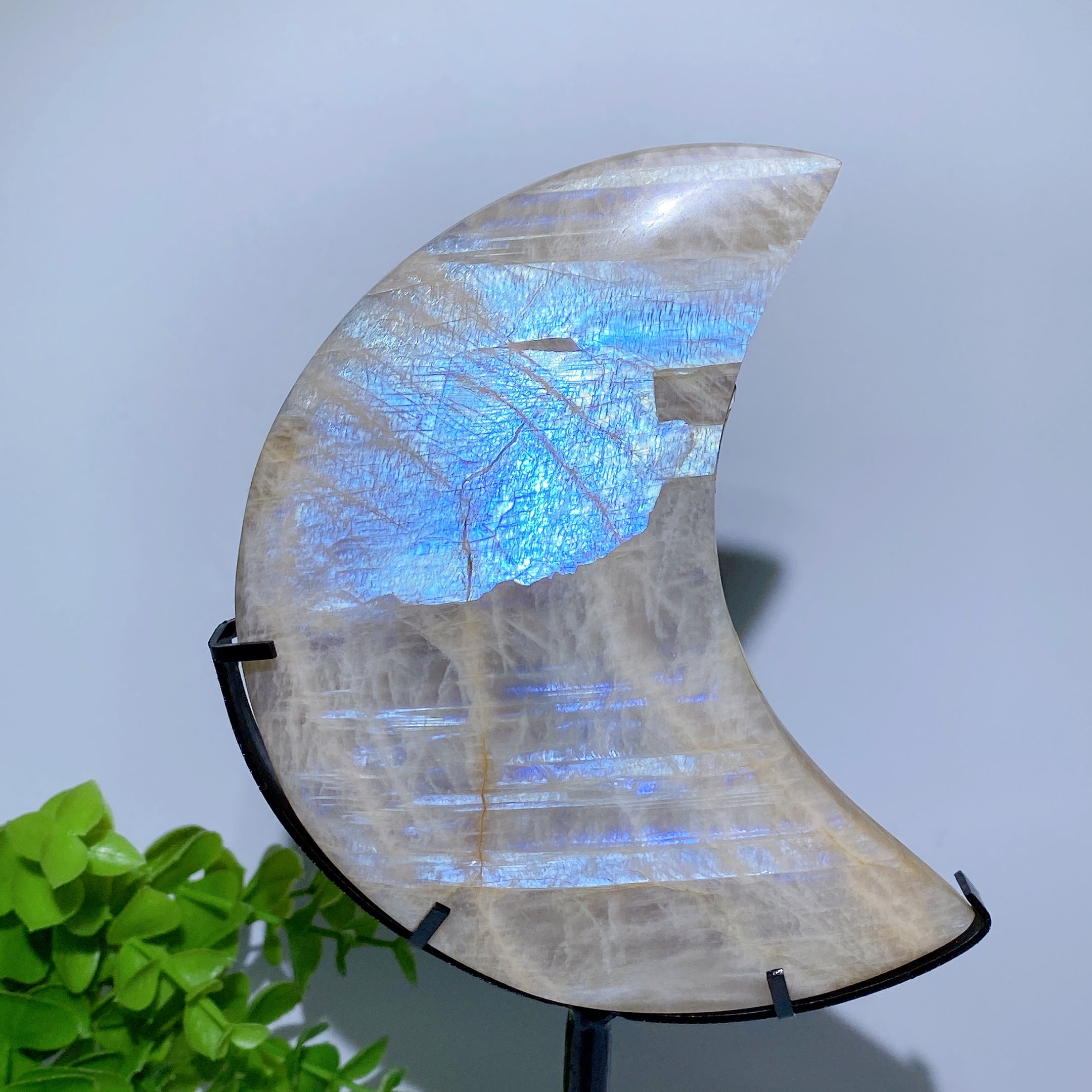 Sculpture en cristal de lune bleu vif de 4 à 5 pouces pour la guérison