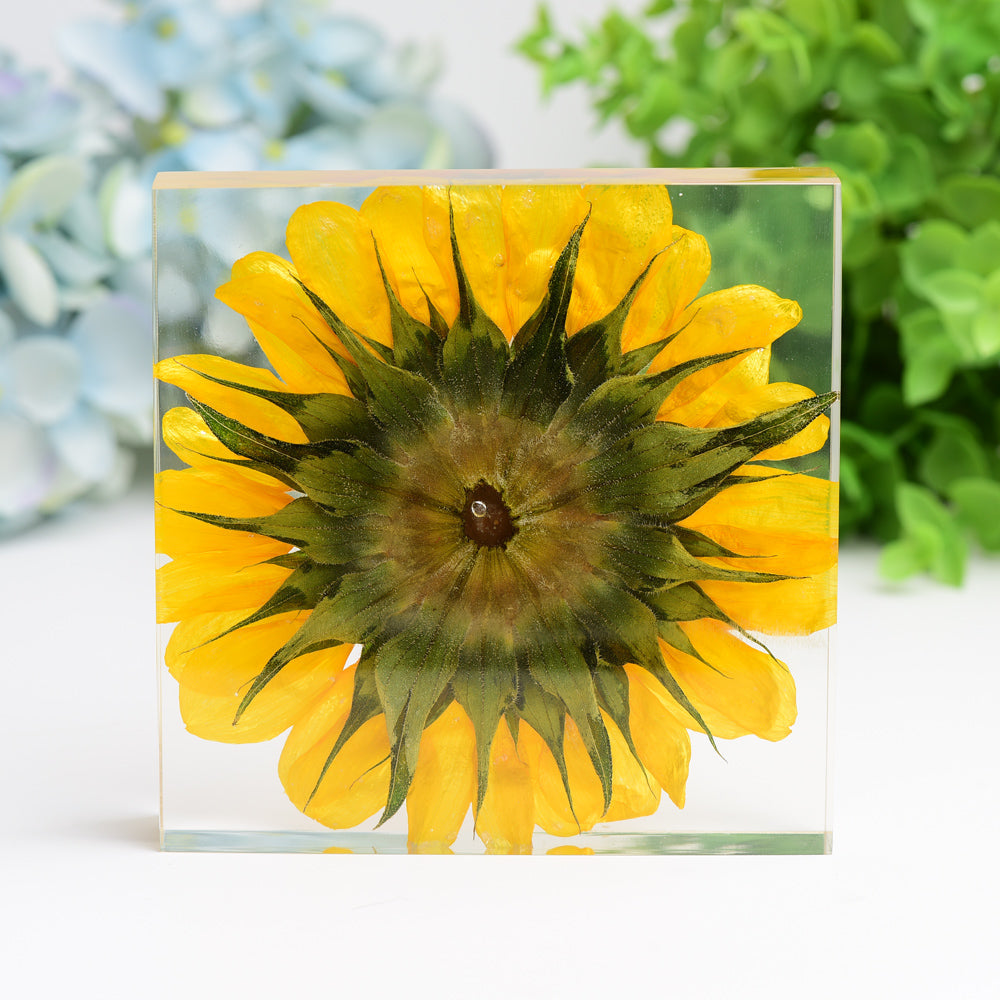 4.6-inch Resin Square with Sunflower - Spiritual Home Accent
