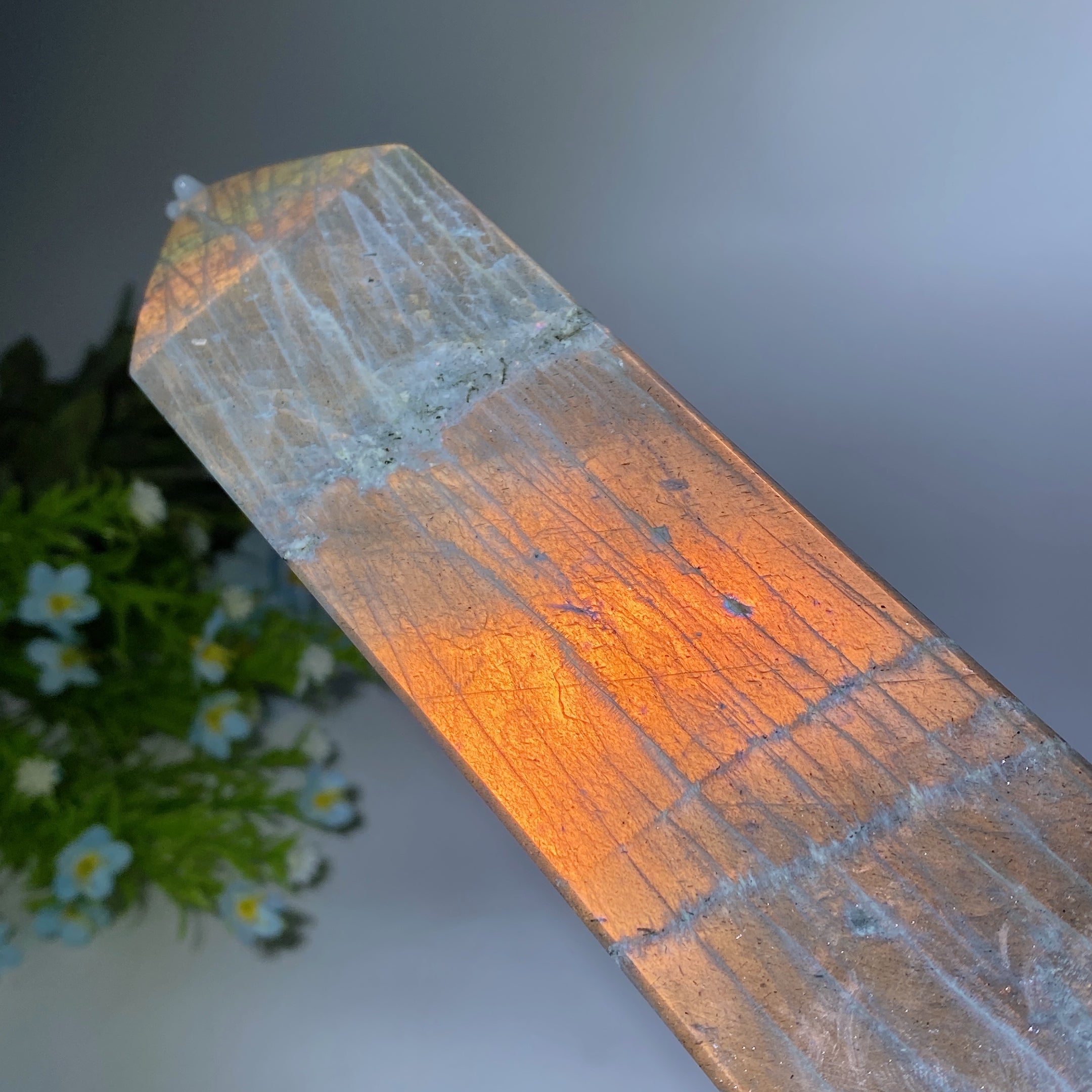 42cm Large Sunset Flash Labradorite Crystal Tower for Healing